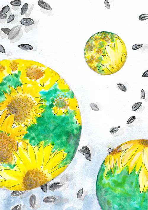 Erinnerung an Sonnenblumen