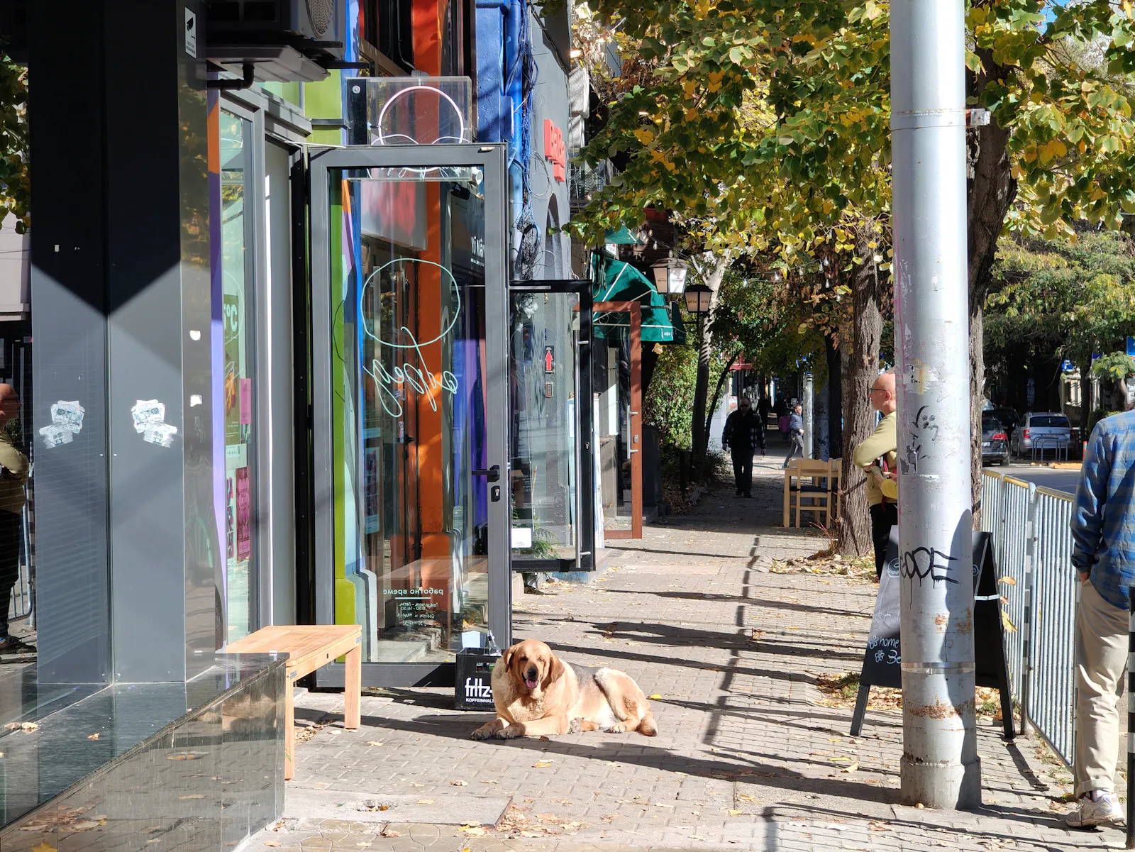 A dog resting on the sidewalk beside glass-fronted shops, while people are walking along the tree-lined street | Искър 7, София
