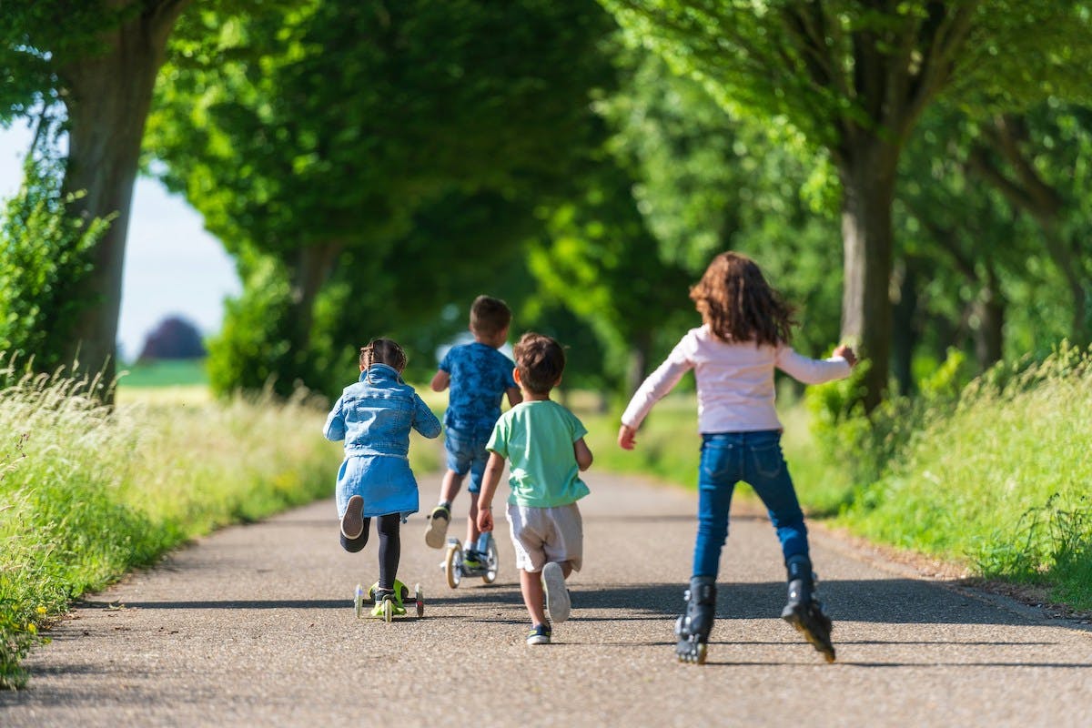 Vier Kinder mit Roller, rennend, Rollerskates, in Rückenansicht, auf einer Alleestraße.