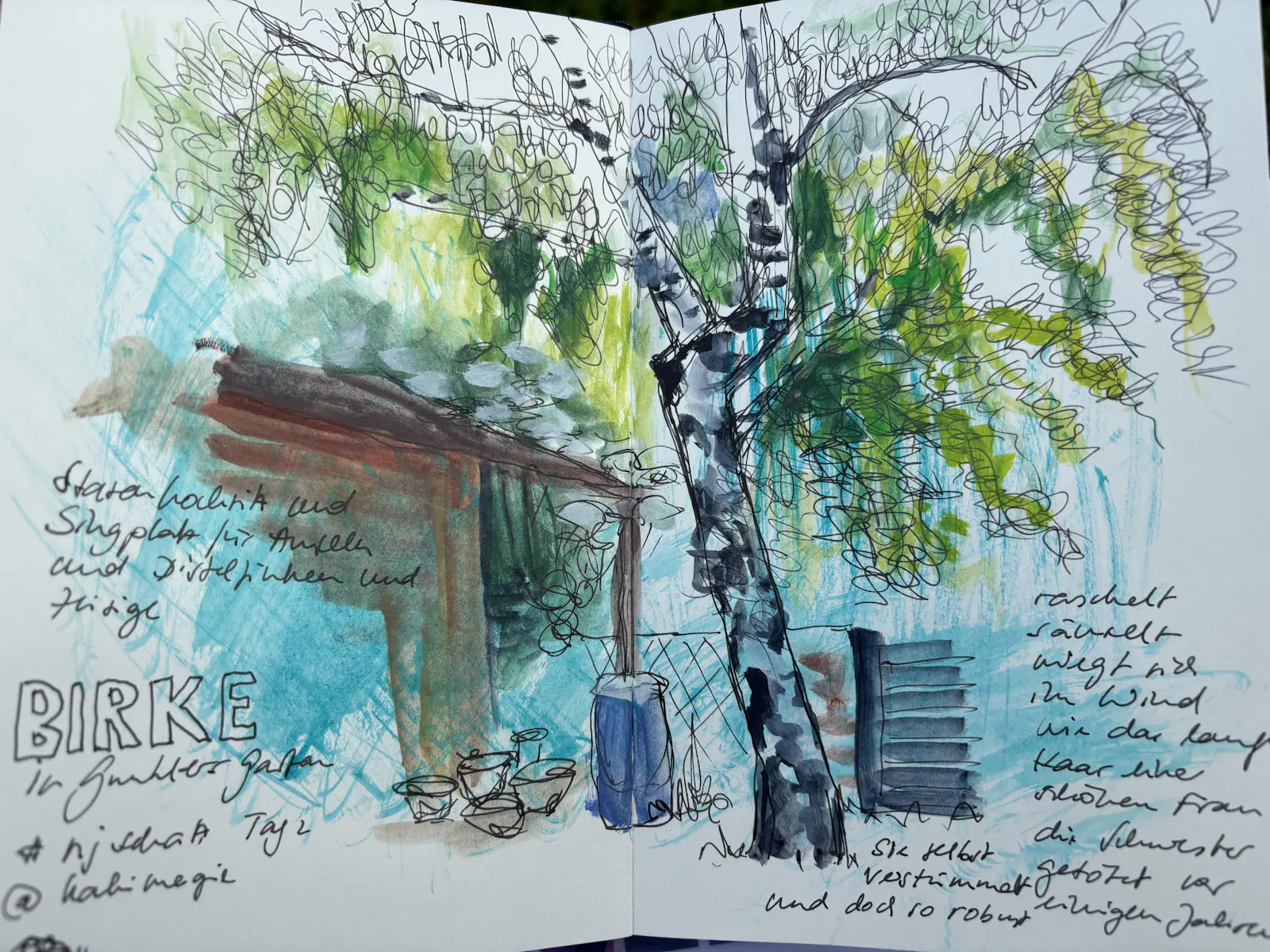 Sketch unserer Birke im Garten für die Nature Journaling-Schatzsuche von Ramona Weyde