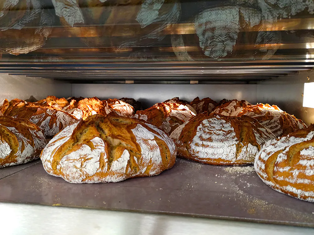 Ein guter Ofentrieb spricht nicht nur das Auge an, sondern führt auch zu einem besser gelockerten Brot.