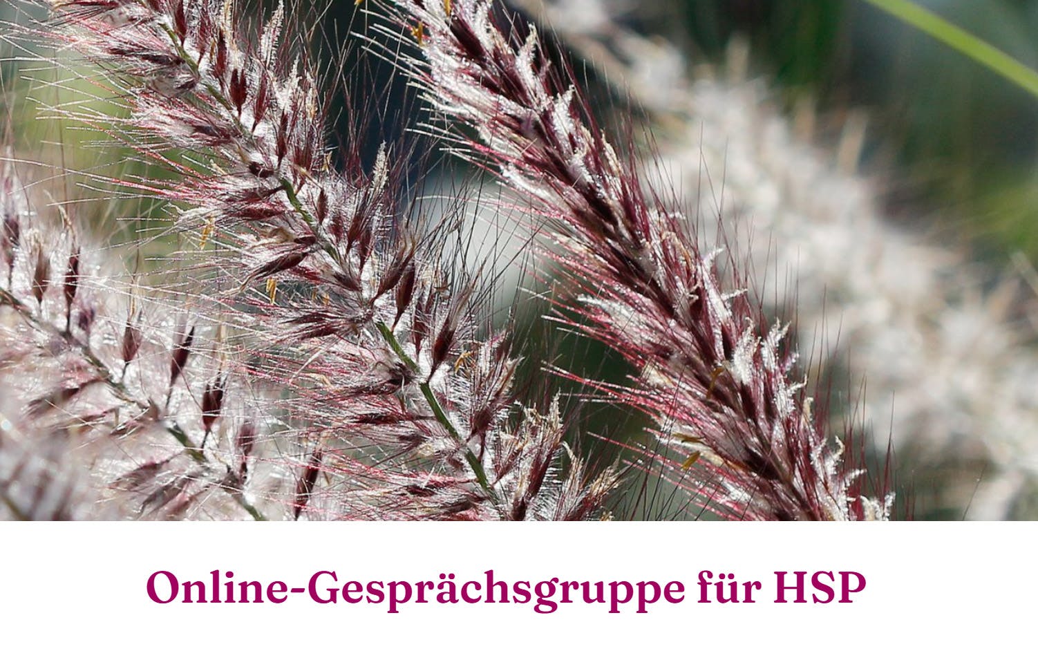 Zum Angebot Online-Gesprächsgruppe für HSP auf meiner Website