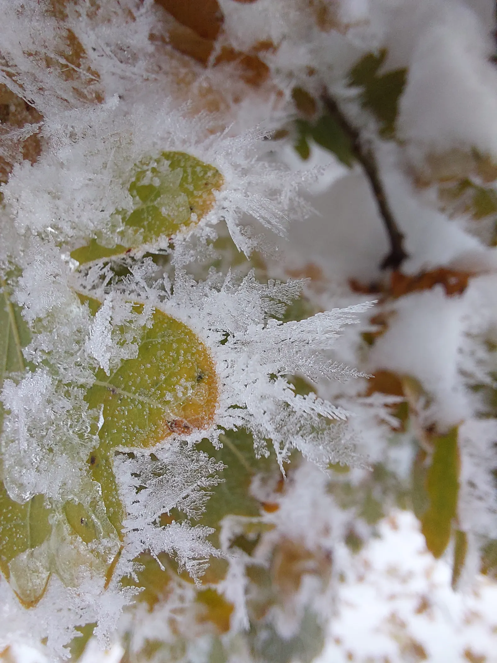 Schnee & Eis