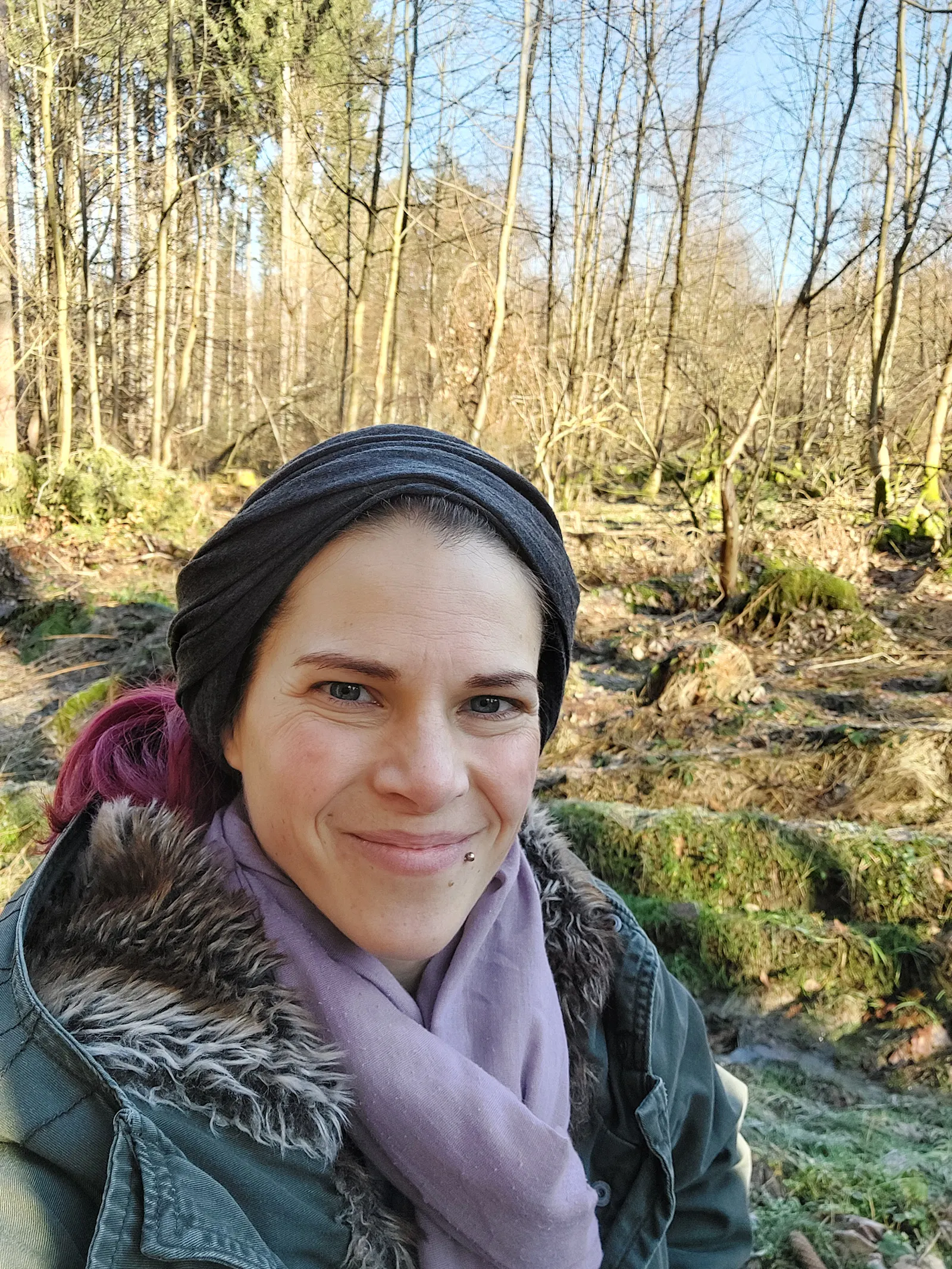 Ein Morgen im Wald