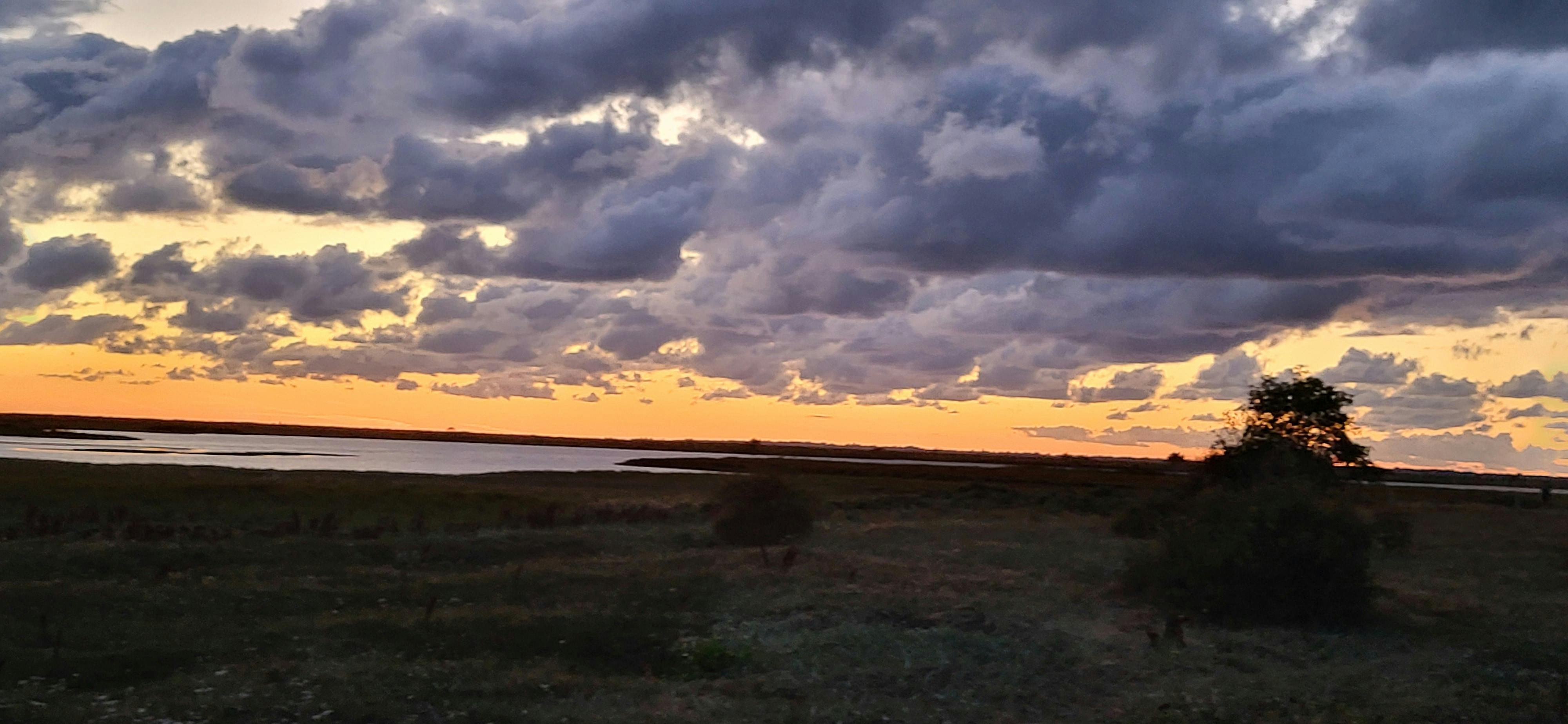 Foto eines Sonnenuntergangs (der Himmel ist gelborange, die Sonne selbst ist nicht zu sehen) mit vielen tiefstehenden Wolken (grau). Die Landschaft ist ein flaches Marschland mit einem Strauch am rechten Bildrand. Im Hintergrund ist eine Wasserfläche (begrenzt, nicht das Meer) zu sehen