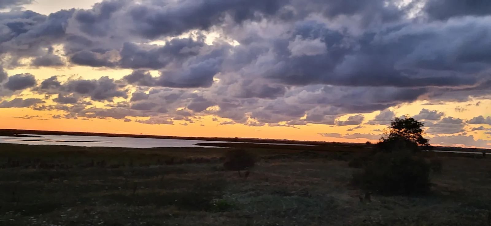 Foto eines Sonnenuntergangs (der Himmel ist gelborange, die Sonne selbst ist nicht zu sehen) mit vielen tiefstehenden Wolken (grau). Die Landschaft ist ein flaches Marschland mit einem Strauch am rechten Bildrand. Im Hintergrund ist eine Wasserfläche (begrenzt, nicht das Meer) zu sehen