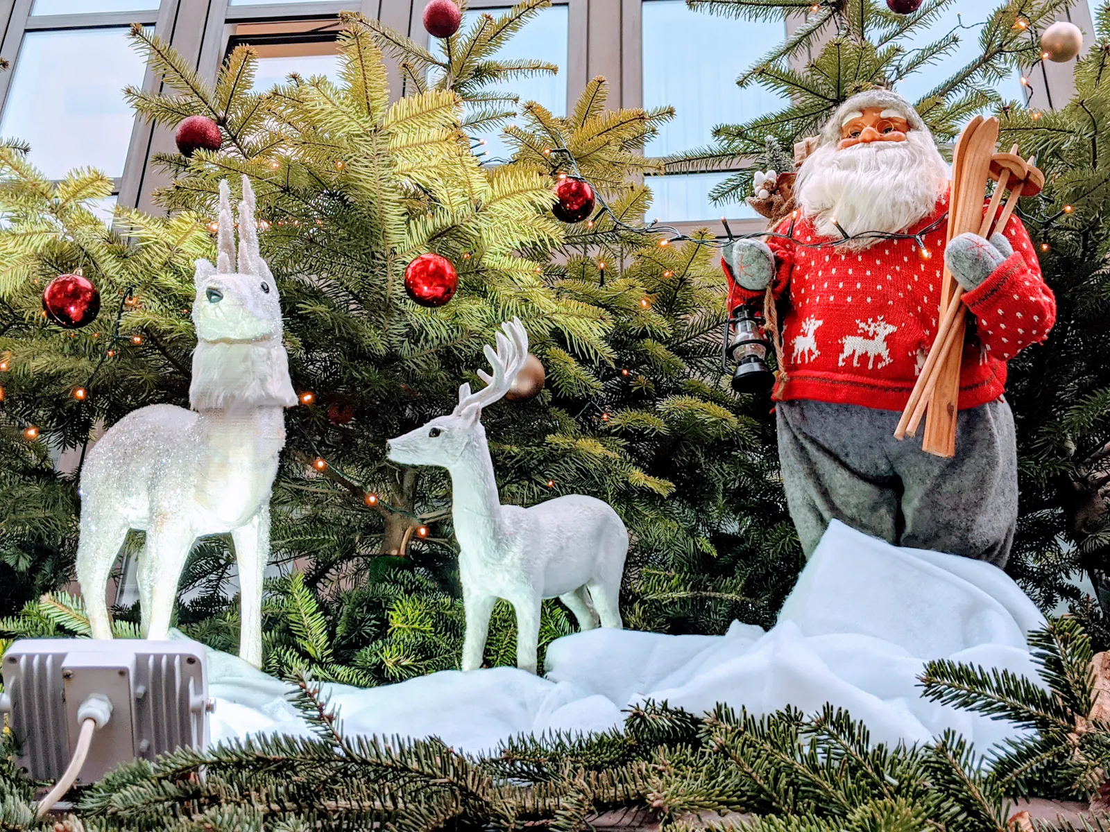 Ski braucht der Nikolaus heute nicht, eher eine Regenjacke.