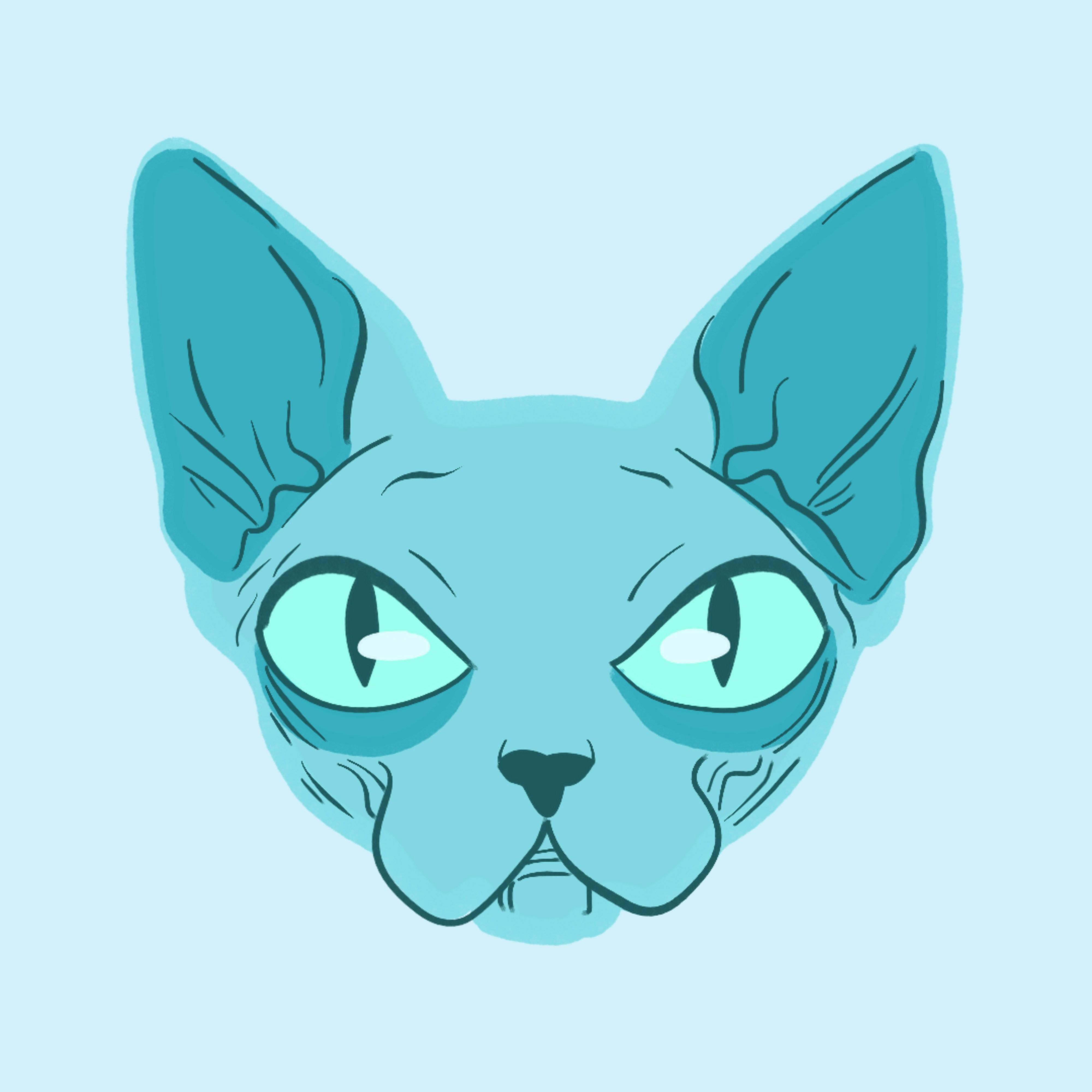 Illustration des Gesichts einer blauen Sphinx-Katze