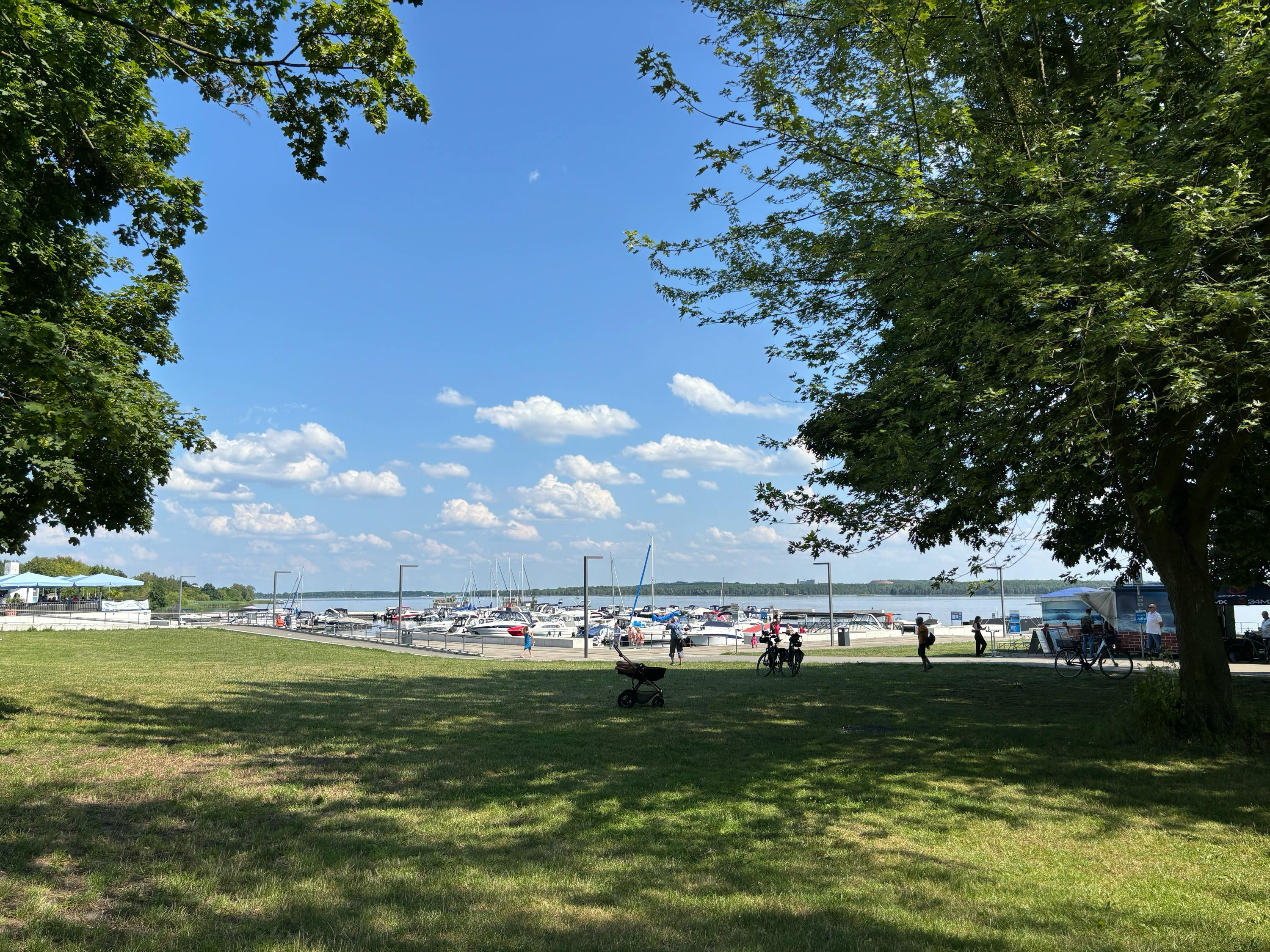 SEENLAND SUNSHINE | So sieht der Sommer aus am Senftenberger Stadthafen. Foto: NL