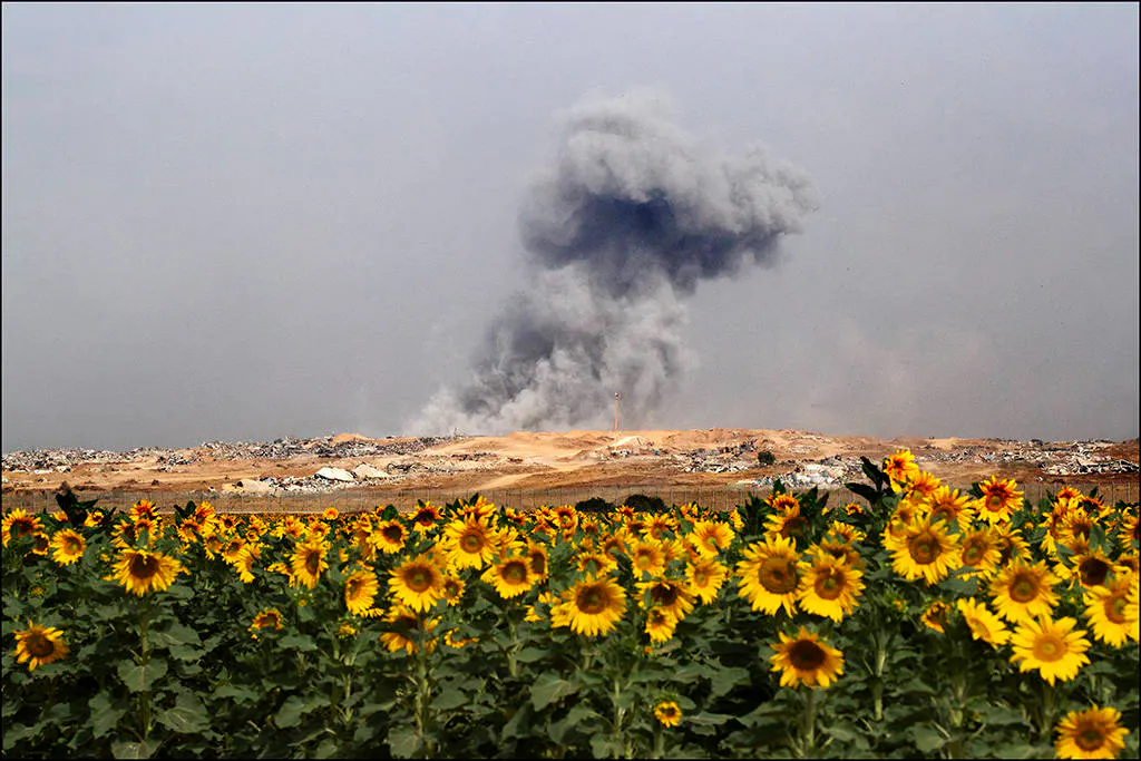 Aufsteigender Rauch einer Bombe hinterm Horizont vor einem Feld Sonnenblumen.