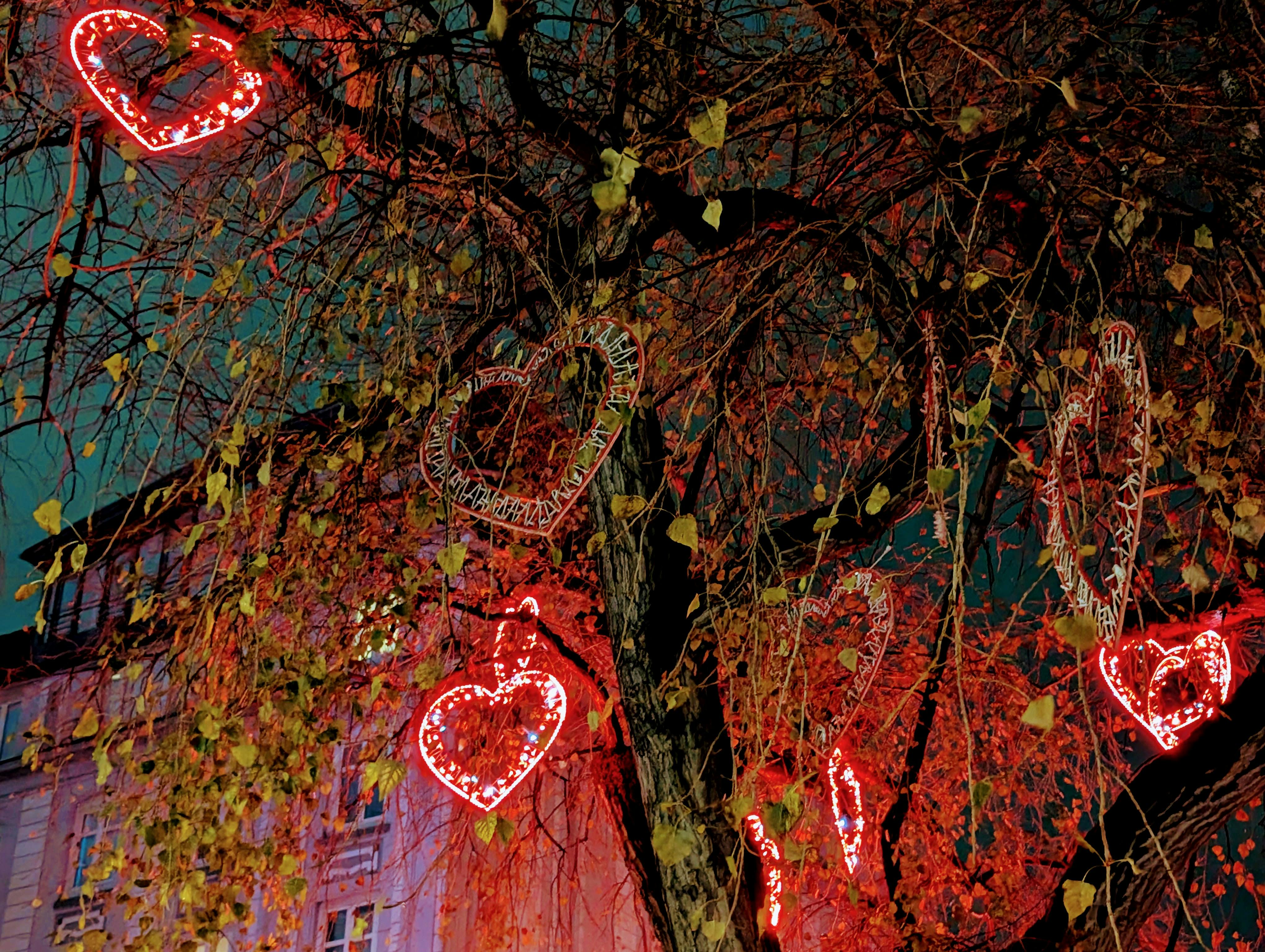Ein paar leuchtende Herzen in einem Baum reichen, um Menschen zum Lächeln zu bringen. Hier zwar in Hamburg - aber vielleicht ja auch irgendwo in Stuttgart-Ost? Foto: Jürgen Brand