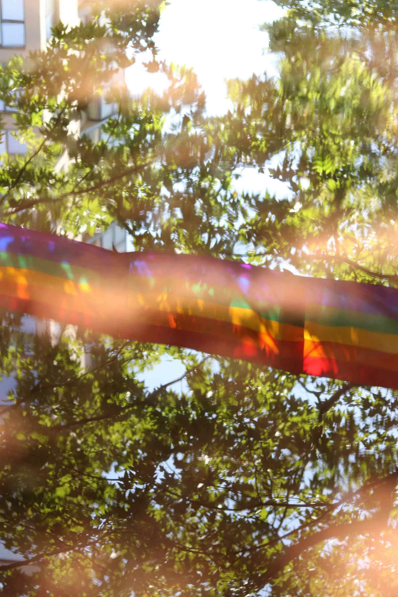 Mehrere miteinander verbundene Regenbogenflaggen aufgespannt vor einem blauen Himmel und grünen Bäumen.
