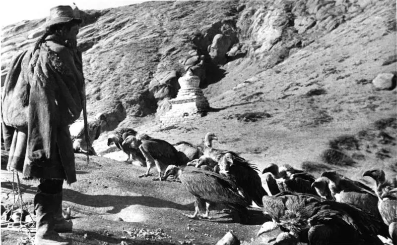 Himmelsbestattung in Tibet, 1938 (aufgenommen von der Schäfer Expedition). Bundesarchiv, Bild 135-S-12-50-06 / Schäfer, Ernst / CC-BY-SA 3.0
