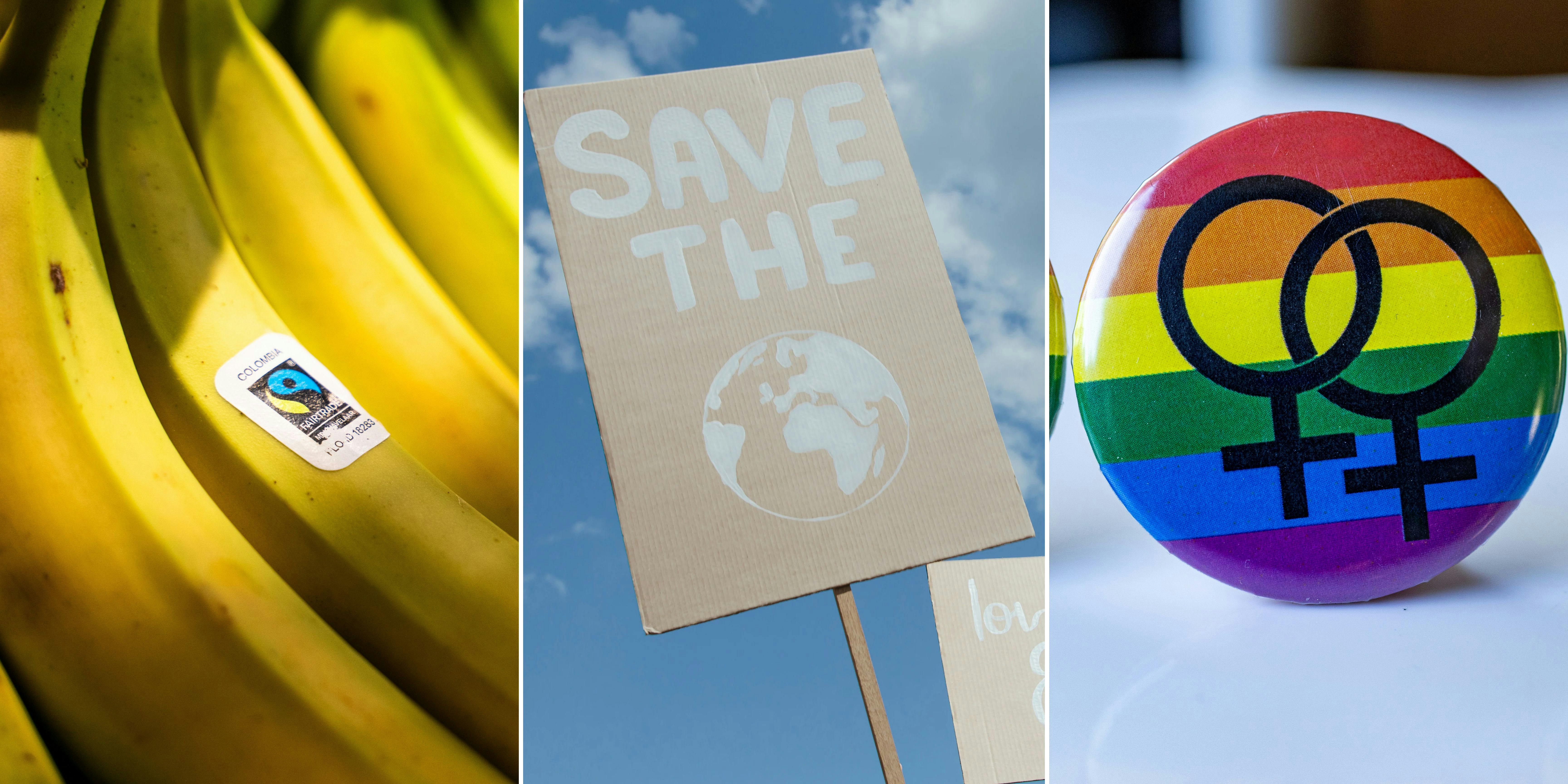 Remarkable Milestones in Human Rights and Environmental Protection