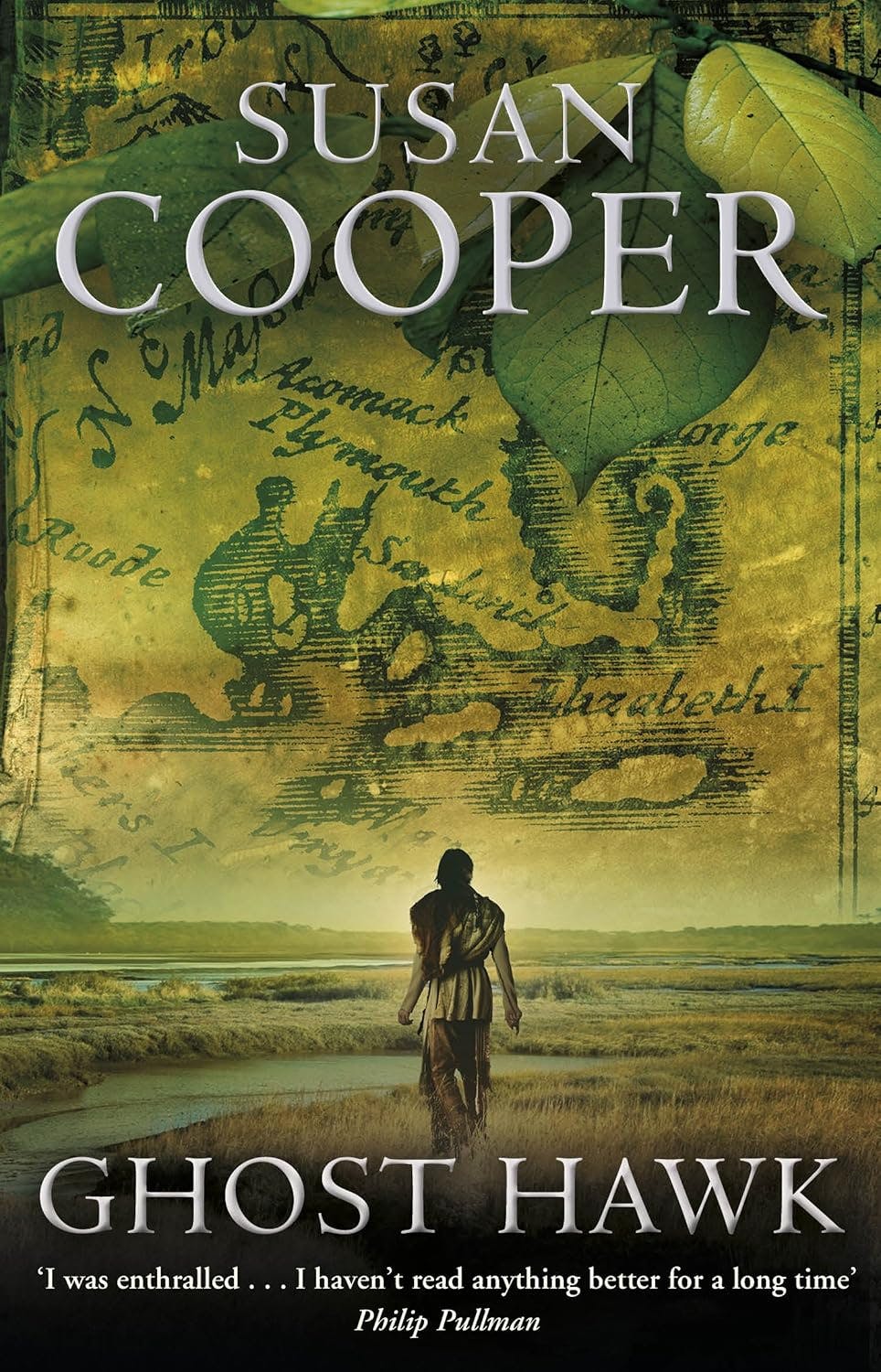Susan Cooper, Ghost Hawk