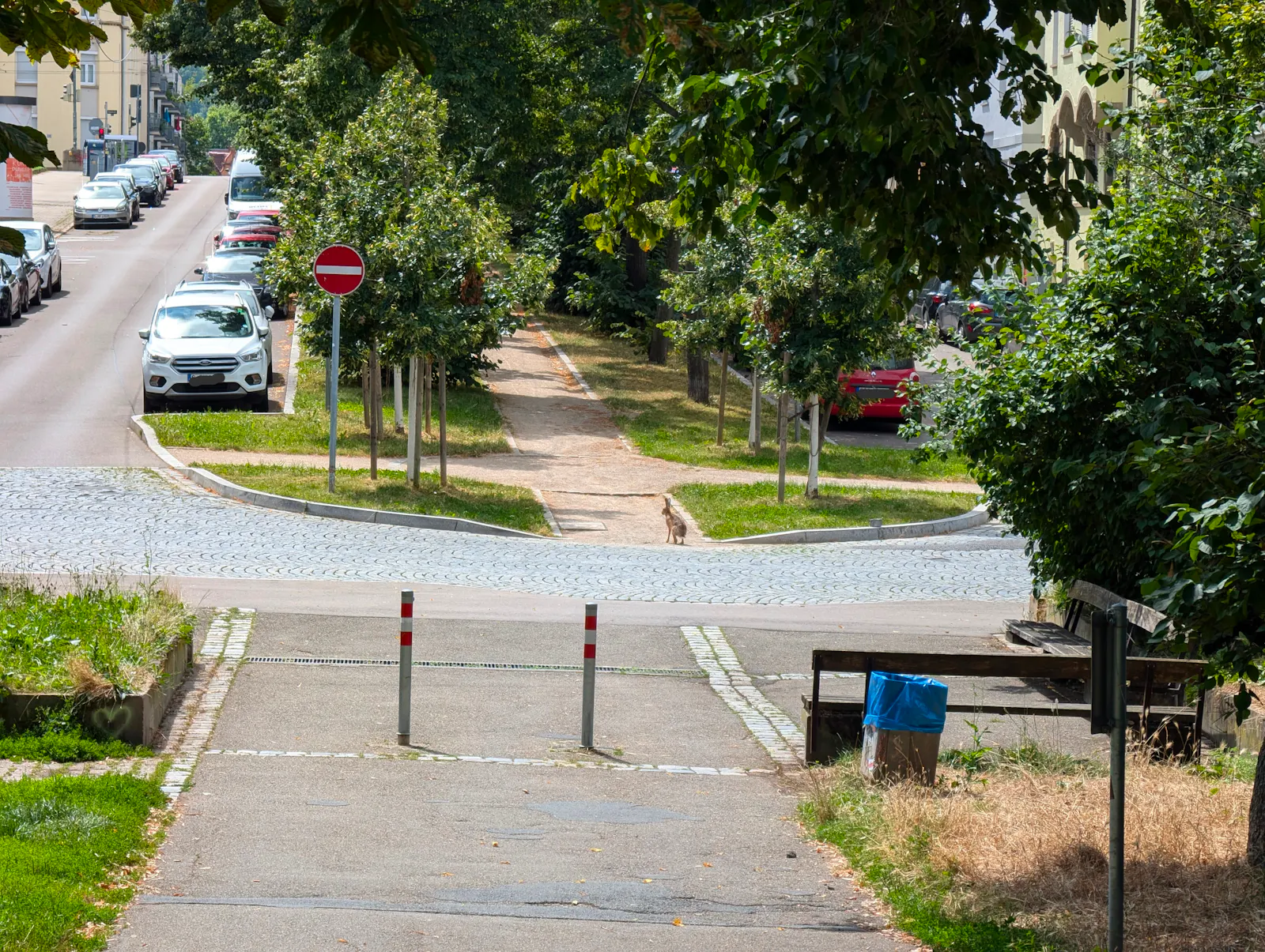Straßenbäume wie hier an der Ostendstraße in Stuttgart-Ost werden in Zeiten von immer heißer werdenden Sommern immer wichtiger, damit das Leben in der Innenstadt erträglich bleibt. Auch Autofahrer schätzen sie sehr – wenn sie in ihrem Schatten parken können. Und die Hasen in der Stadt sowieso (Bildmitte, am Beginn des mittigen Fußwegs). Foto: Jürgen Brand