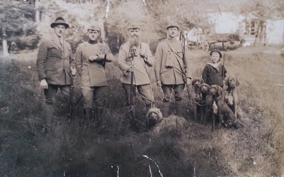 Historisches Foto: Personen in Förster-Uniform mit Gewehren und Weimaranerhunden