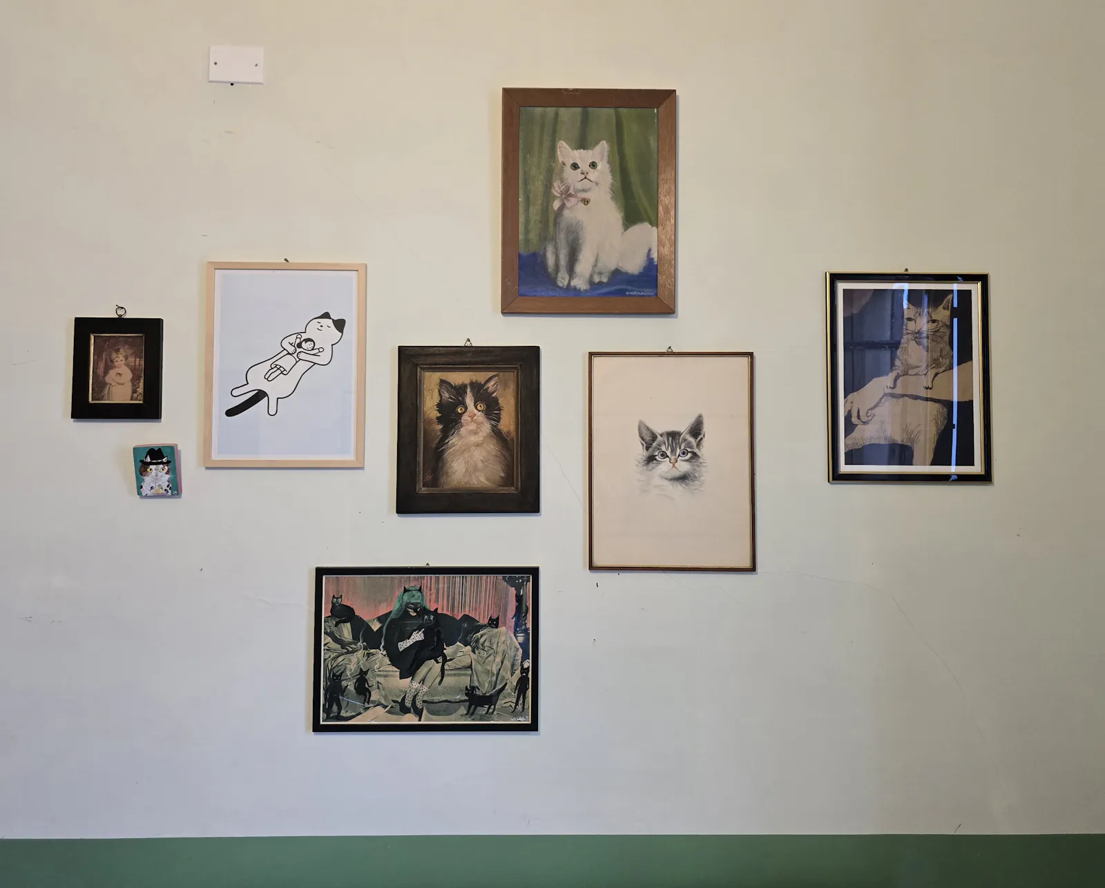Verschiedene Bilder mit Katzen an einer Wand