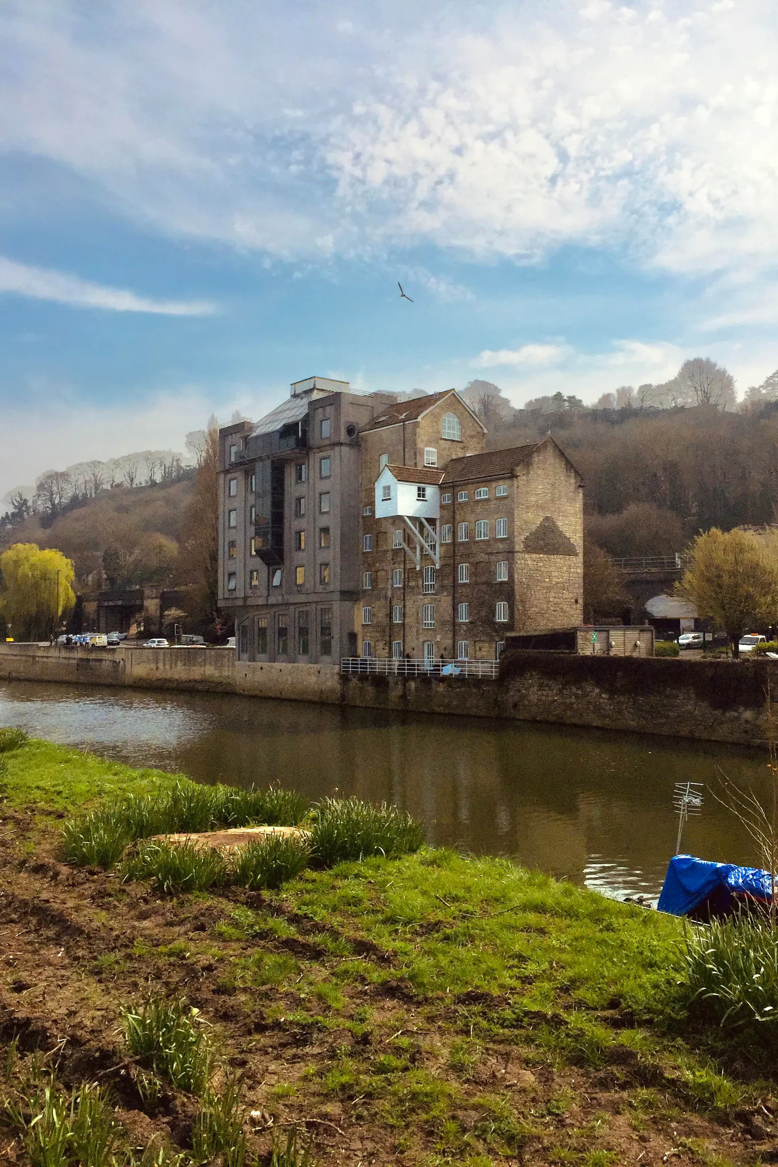 A gull flies above house jutting over the river Avon in Bath
