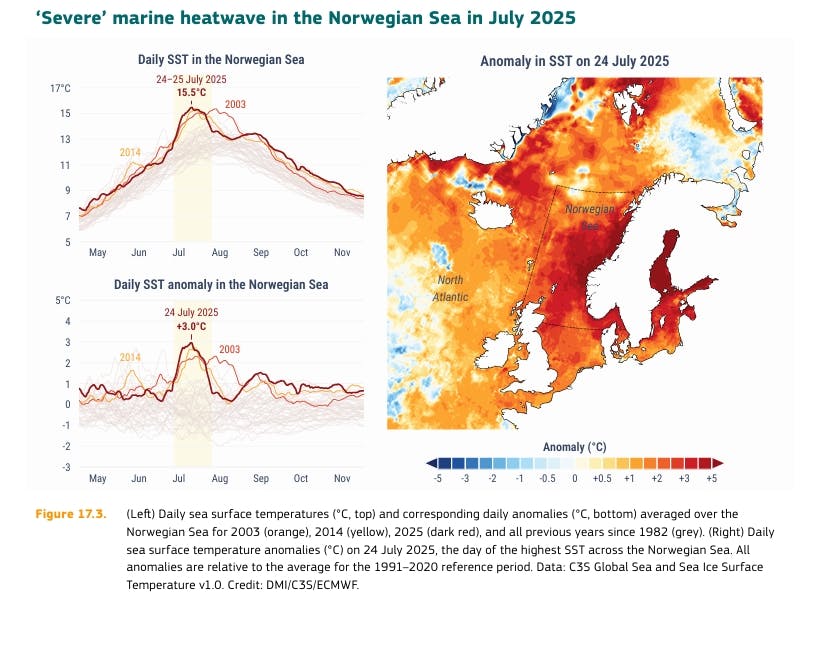Diese Grafik verknüpft die Ozean-Erwärmung direkt mit der Fennoskandinavien-Hitzewelle und macht den Mechanismus sichtbar. Quelle: C3S/ECMWF.