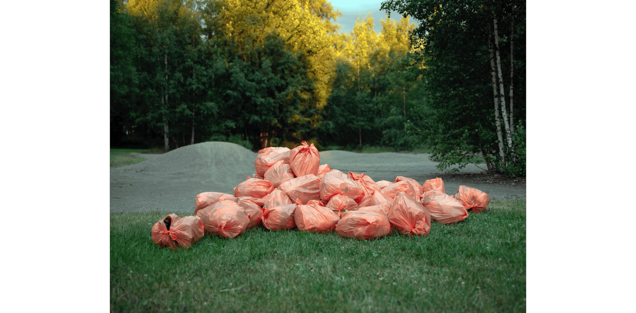 Das Foto zeigt eine grüne Landschaft, mitten drin ein Haufen orangener Müllsäcke aus Plastik.