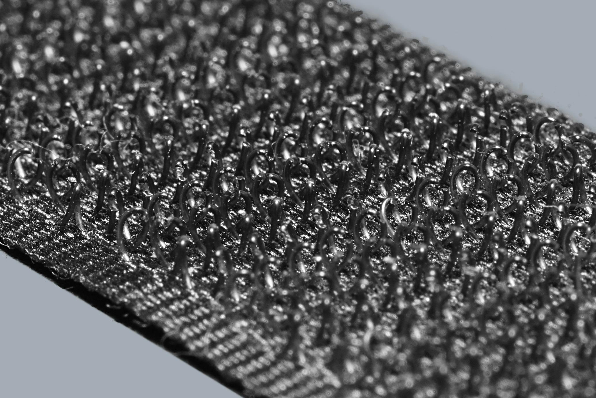 Klettverschlusshaken. Alexander Klink für Wikimedia Commons.