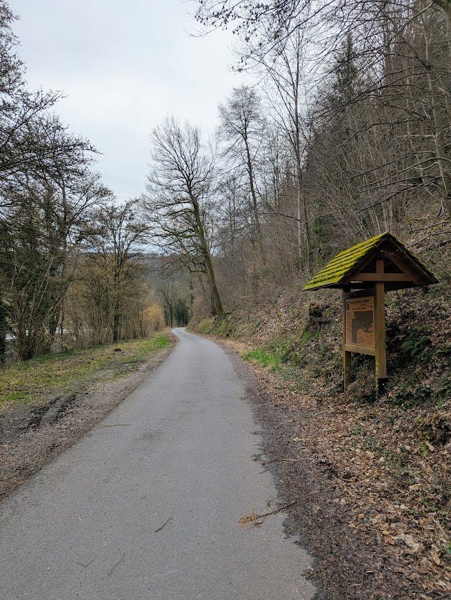 Asphaltweg an Bäumen vorüber, rechts eine Böschung.