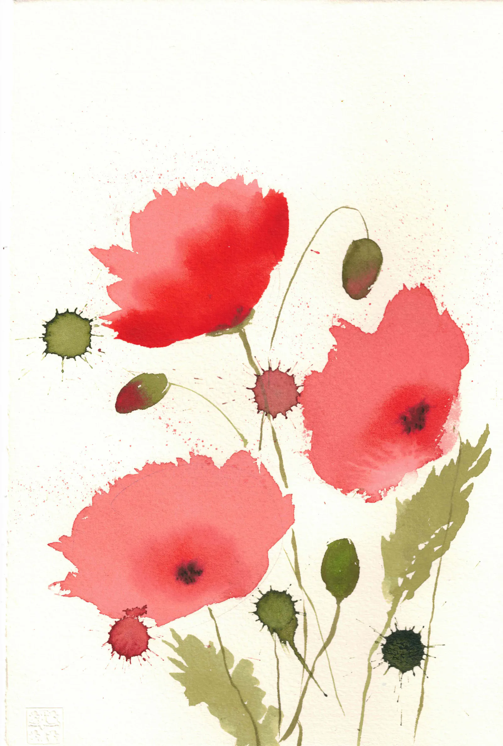 Mohnblumen mit Aquarell.