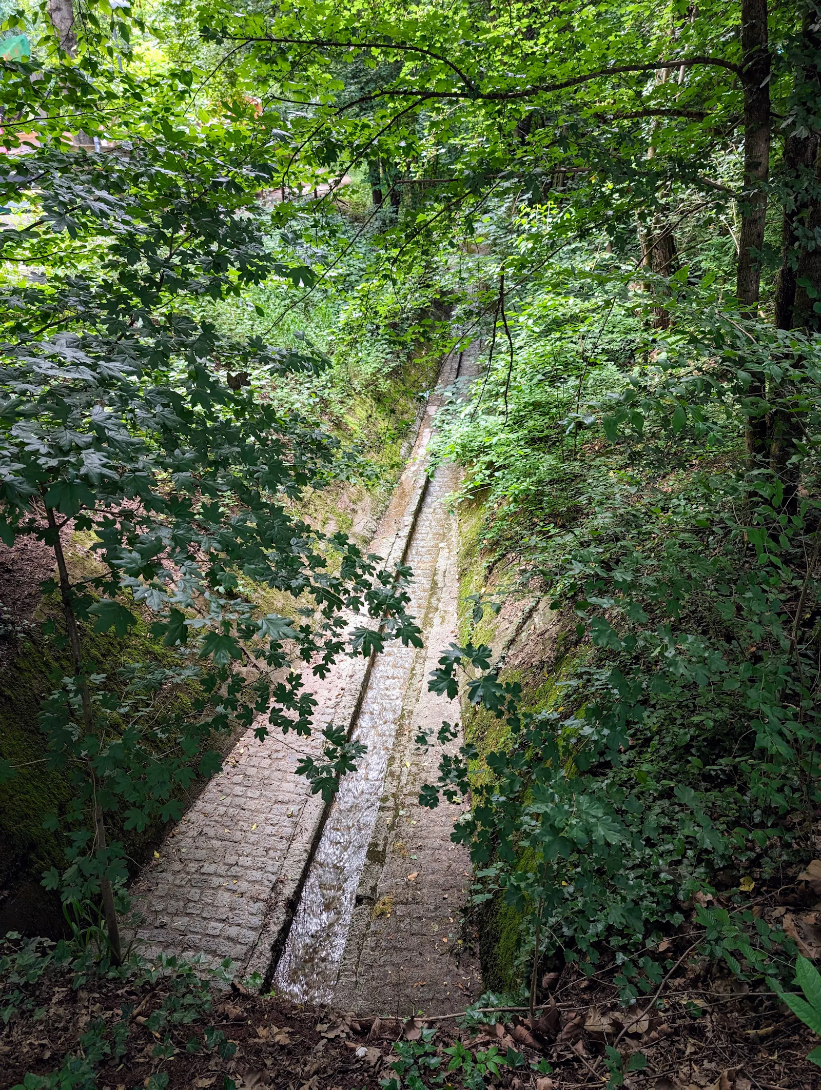 Der Bußbach soll in einzelnen Abschnitten renaturiert werden. Foto: Jürgen Brand