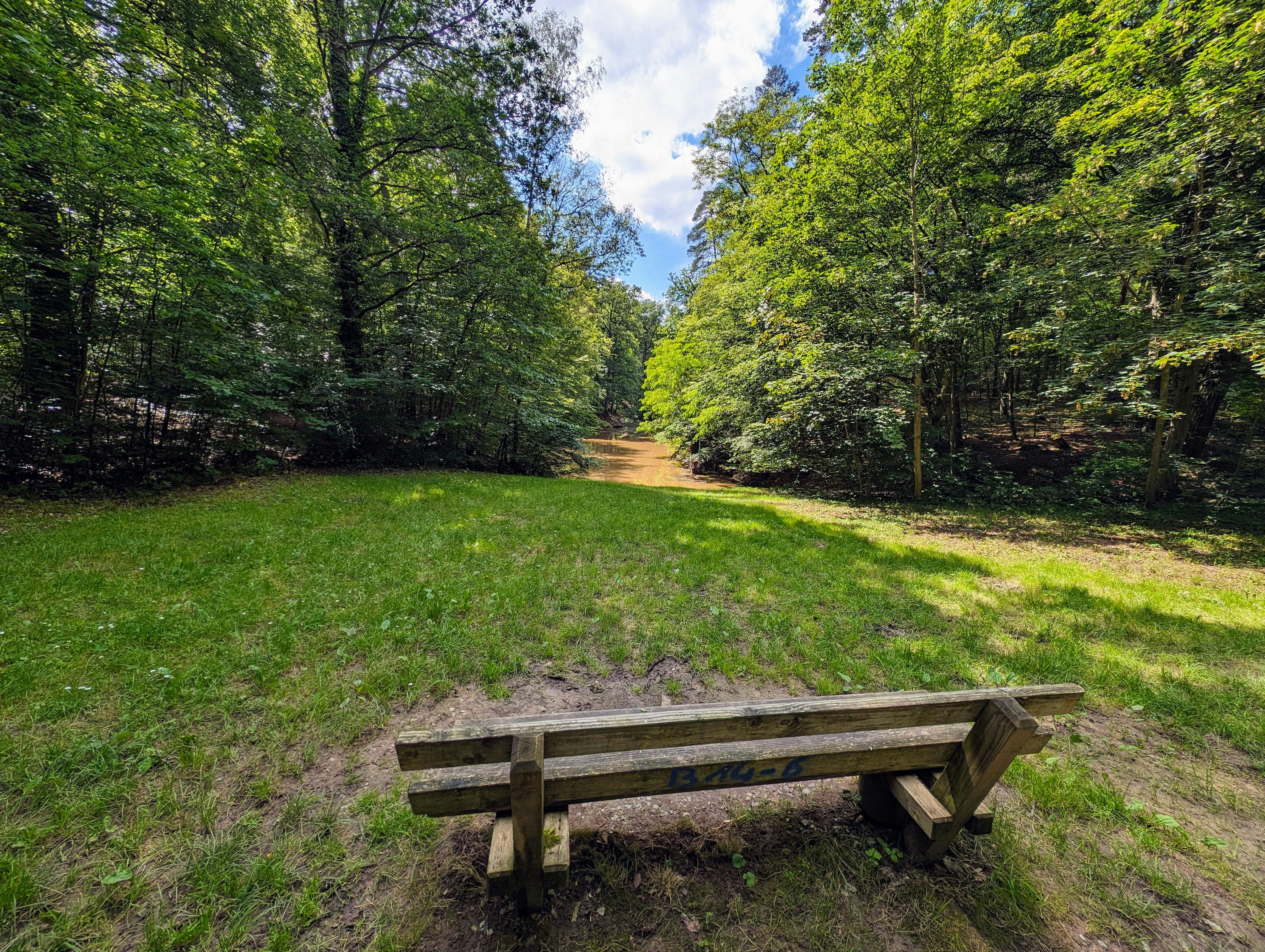 Das Dürrbach-Rückhaltebecken lädt auch zum Entspannen in der Natur ein. Foto: Jürgen Brand
