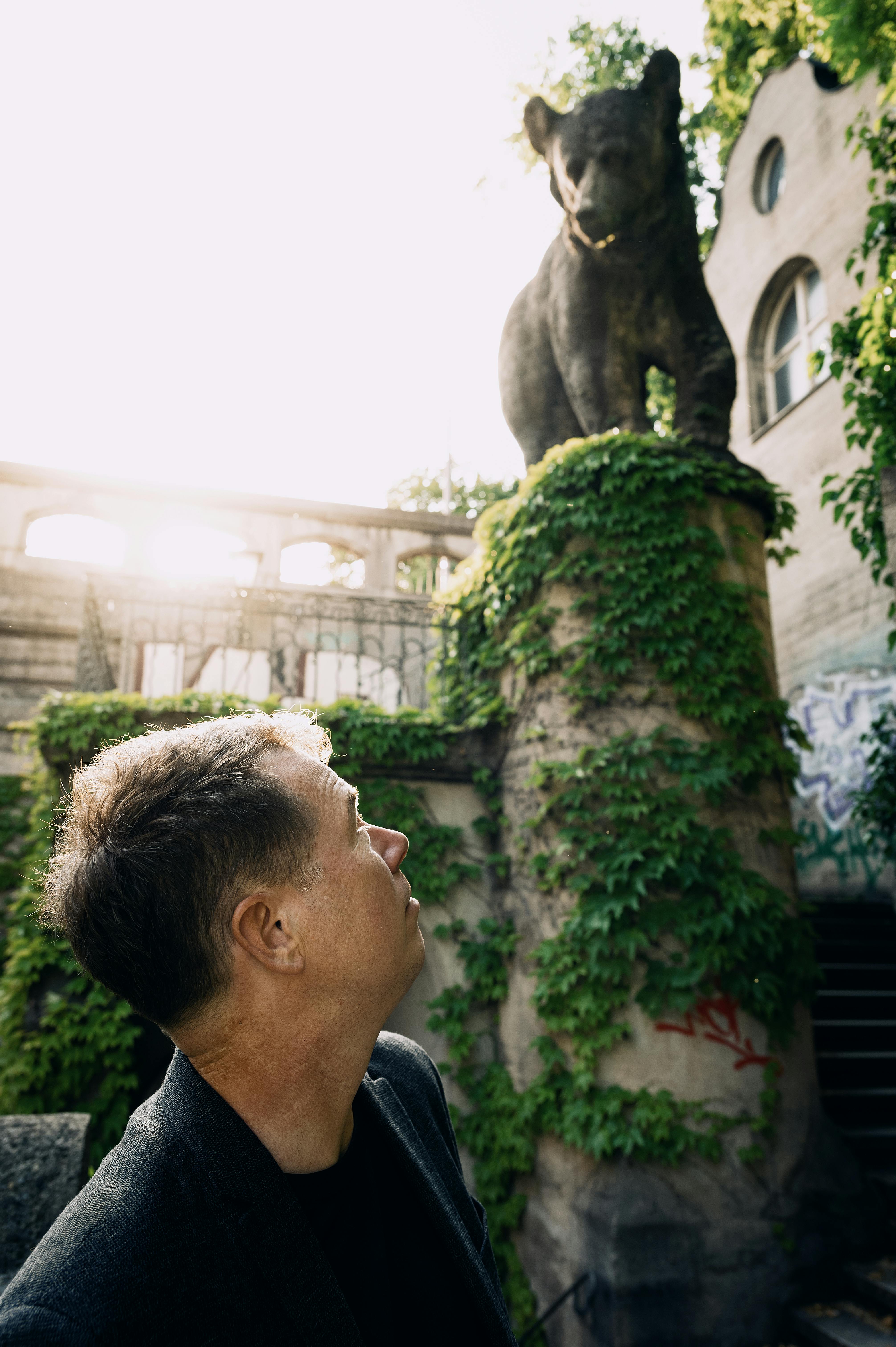 Ich blicke nach oben auf einen steinernen Bär auf einer mit Efeu überzogenen Mauer