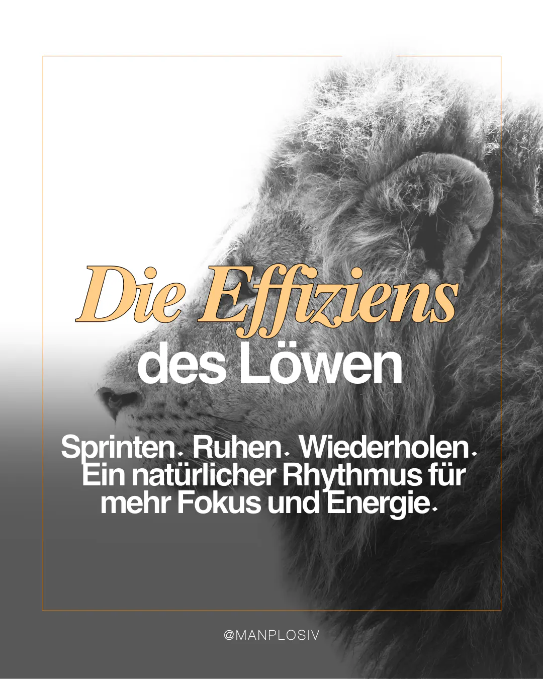Die effiziens des Löwen