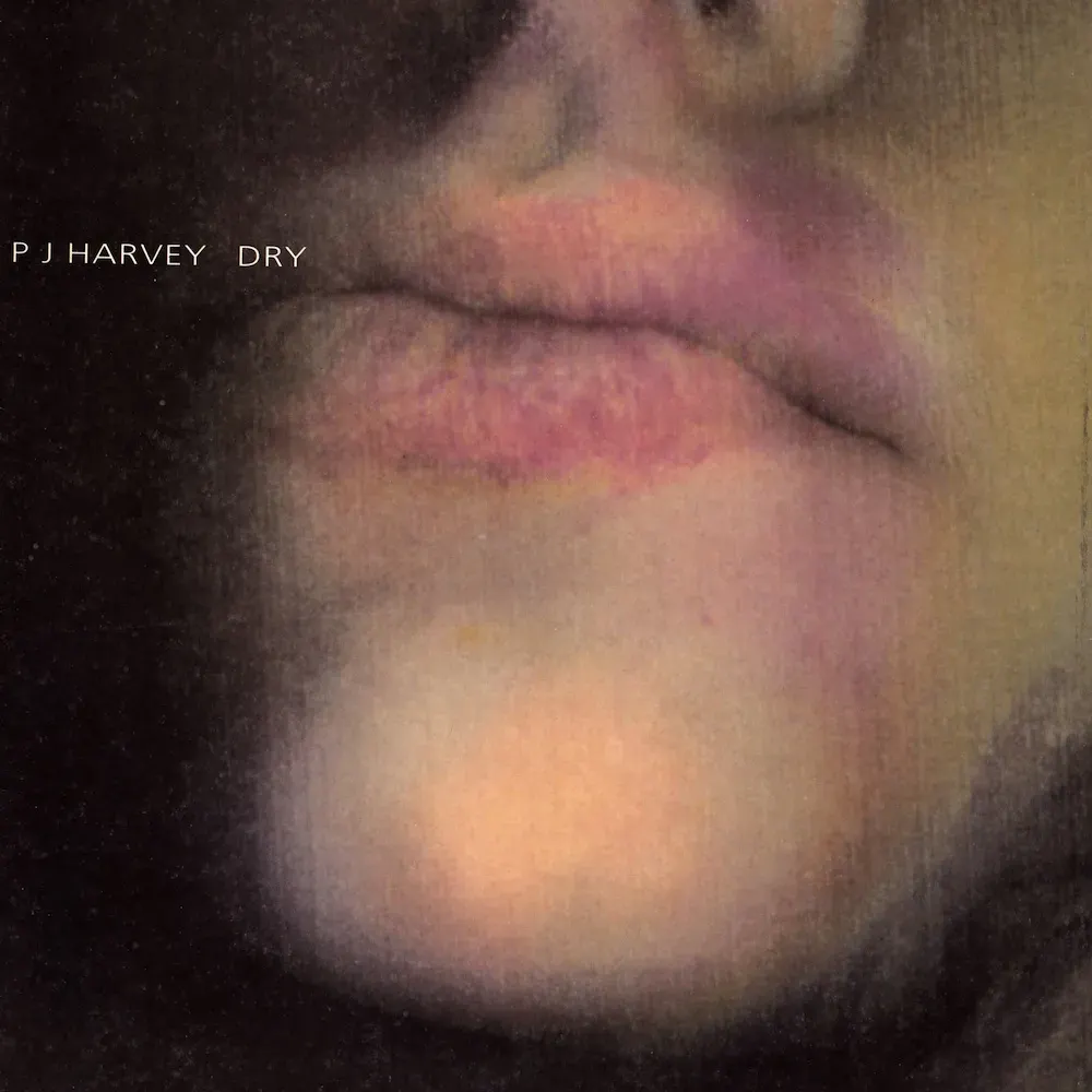 Una copertina di album quadrata per "Dry" di P.J. Harvey, datata 1992. L'immagine è un primo piano granuloso che mostra le labbra e il mento di una donna, incorniciate dai capelli scuri. Il titolo dell'album è scritto in un semplice carattere sans-serif bianco nell'angolo in alto a sinistra.