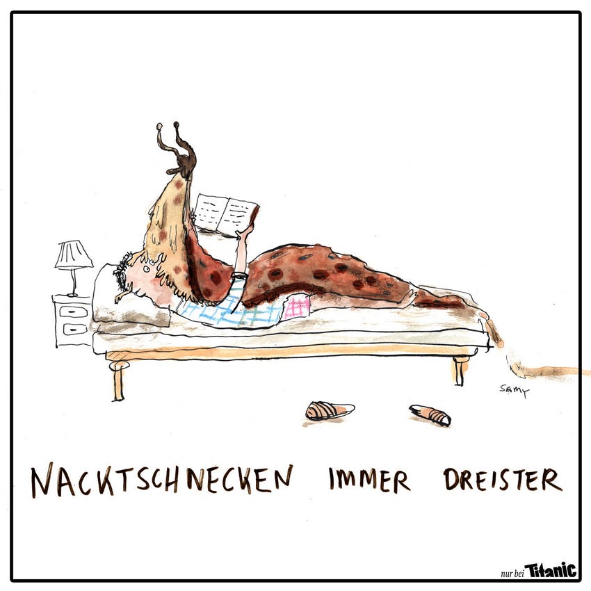 Ein Mann liegt auf dem Bett und versucht ein Buch zu lesen. Auf ihm liegt eine menschengroße Schnecke, dazu der Text "Nacktschnecken immer dreister".
