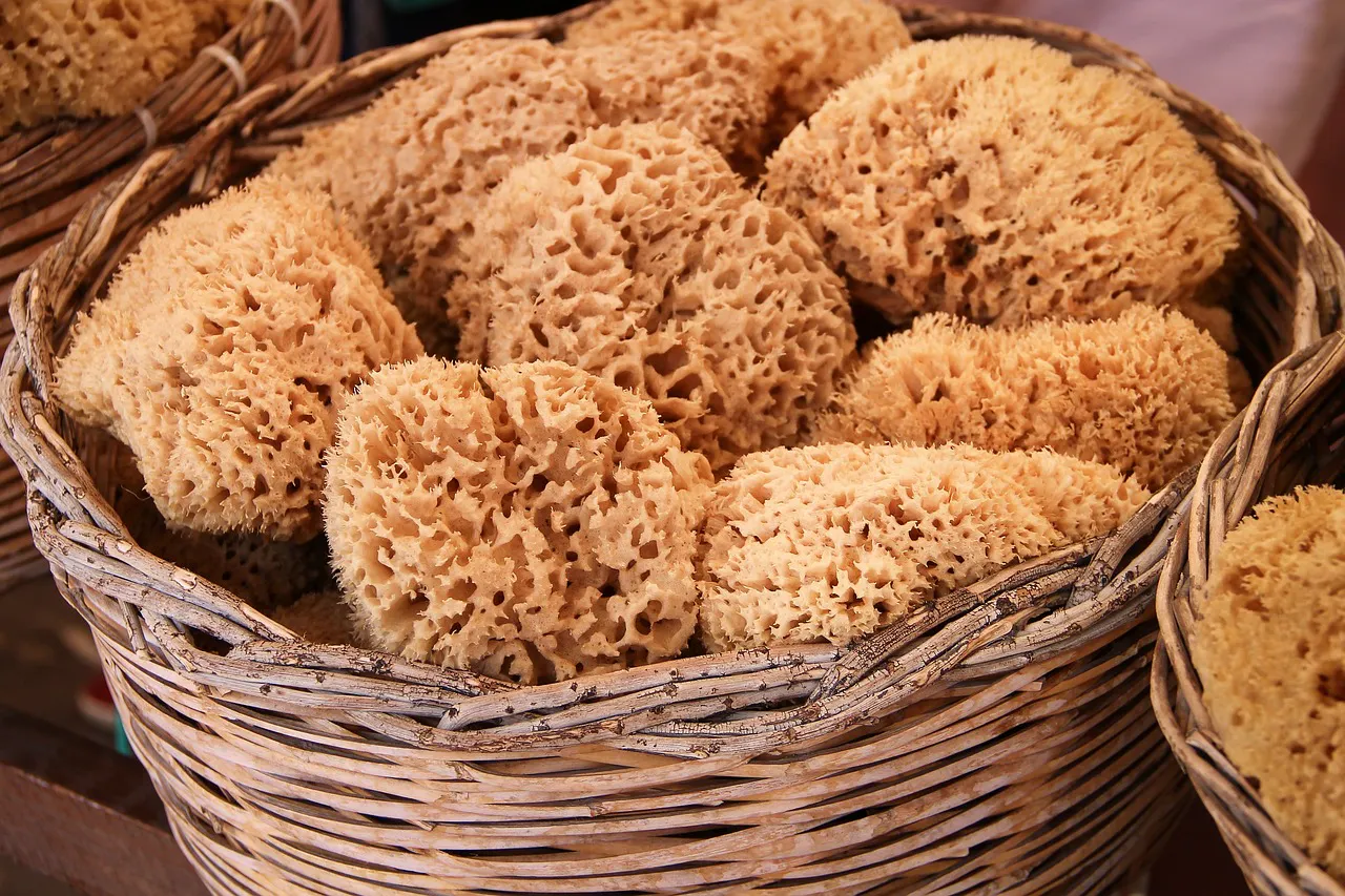 Naturschwämme sind sehr saugfähig