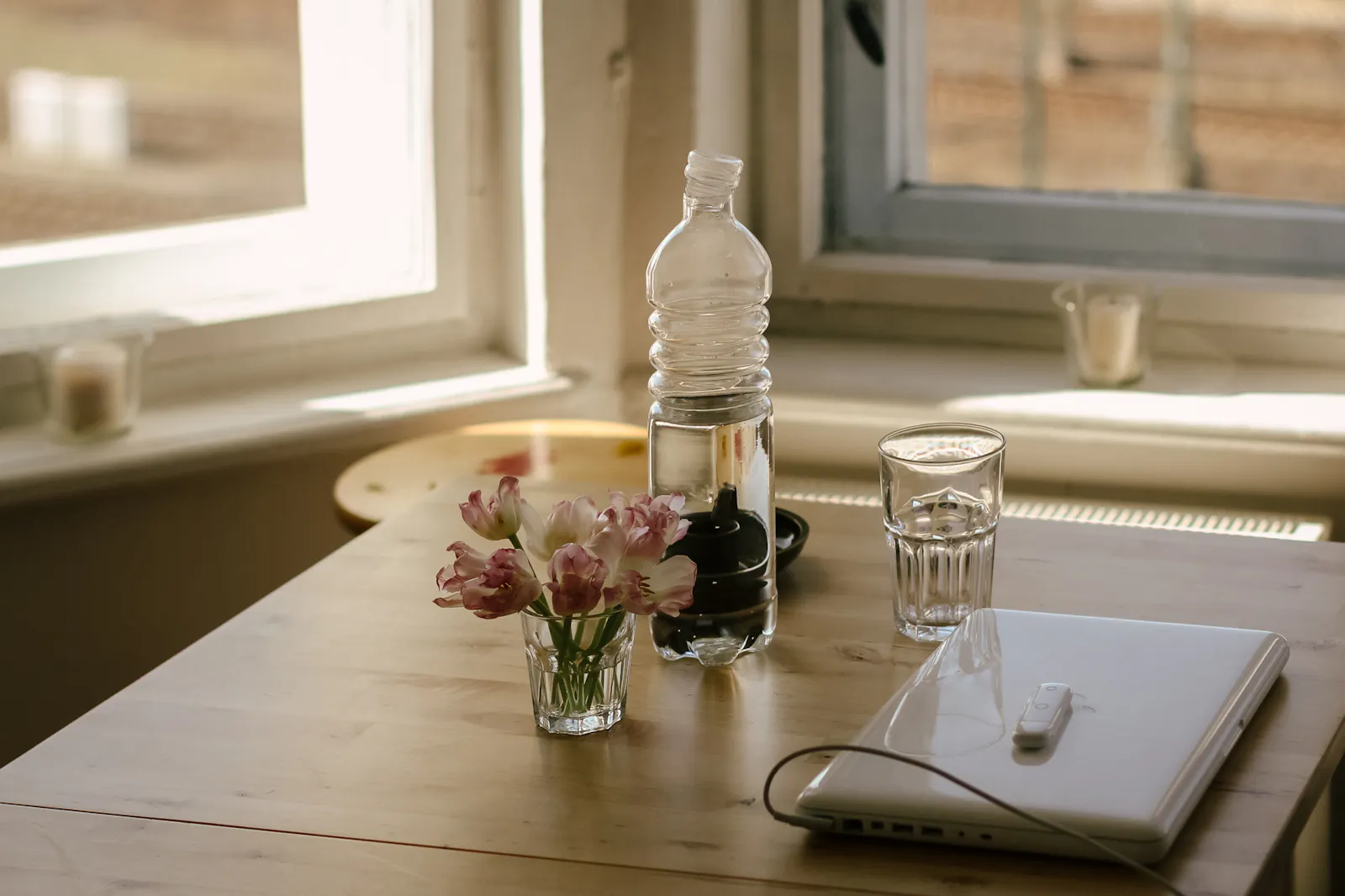Esstisch mit welkenden Tulpen, Wasserflasche, -glas und Laptop vor einem Fenster mit Blick nach draussen.