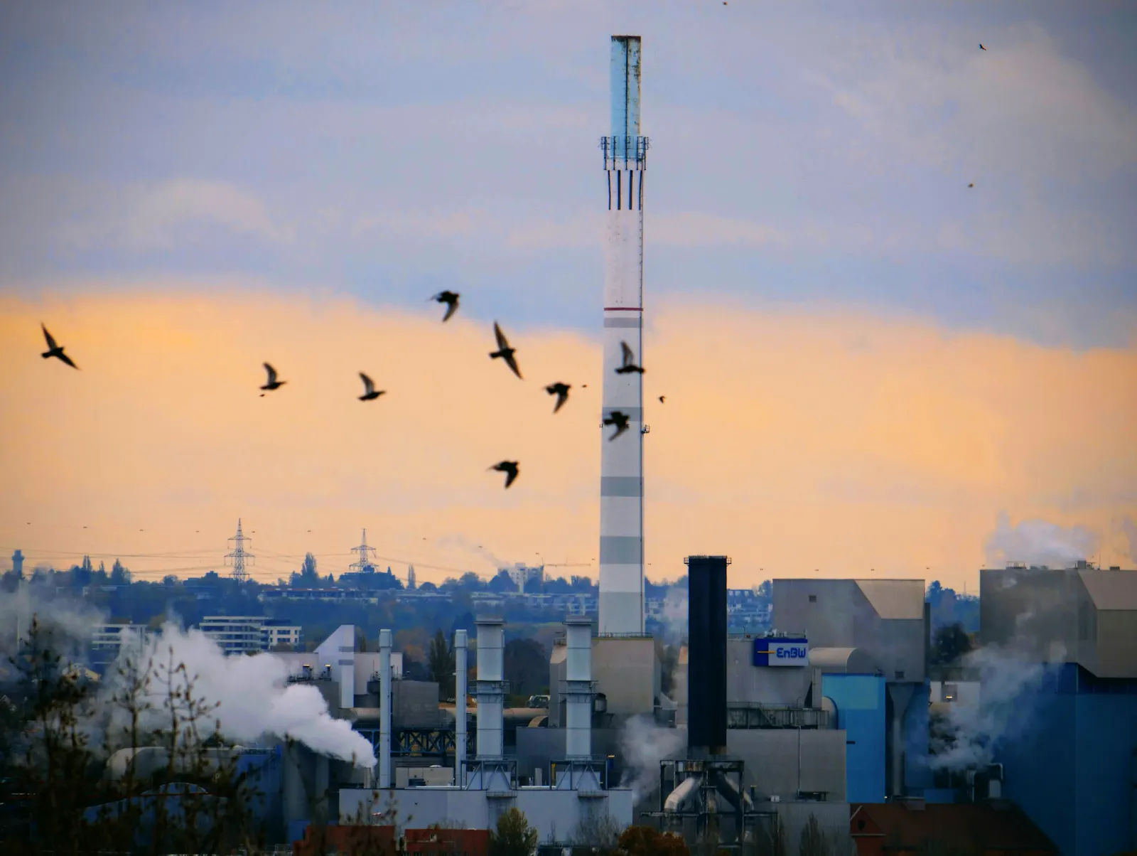 Wenn im Kraftwerk Münster Dampf durch die neuen Rohre geblasen wird (im Bild links unten), ist das im Umfeld zu hören - und kann auch mal die Vögel erschrecken. Foto: Jürgen Brand