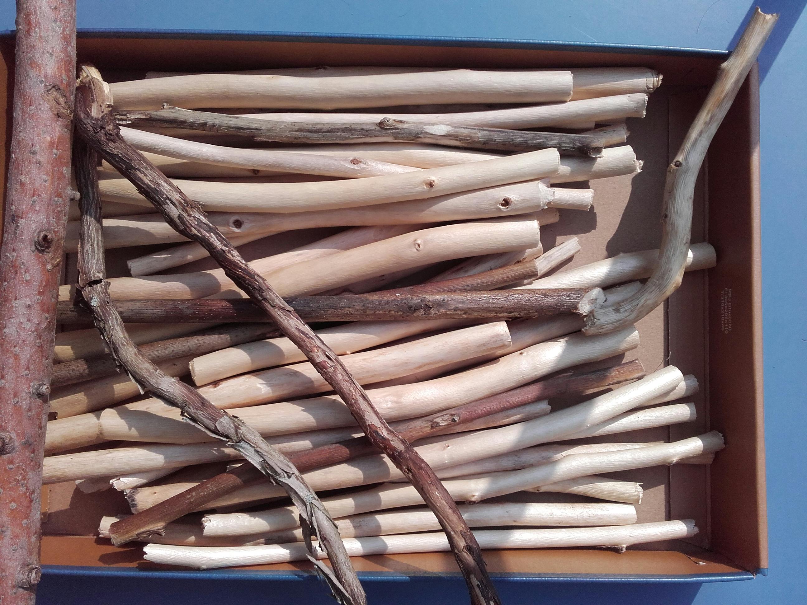 Box with cut wooden sticks, most are white lime tree.