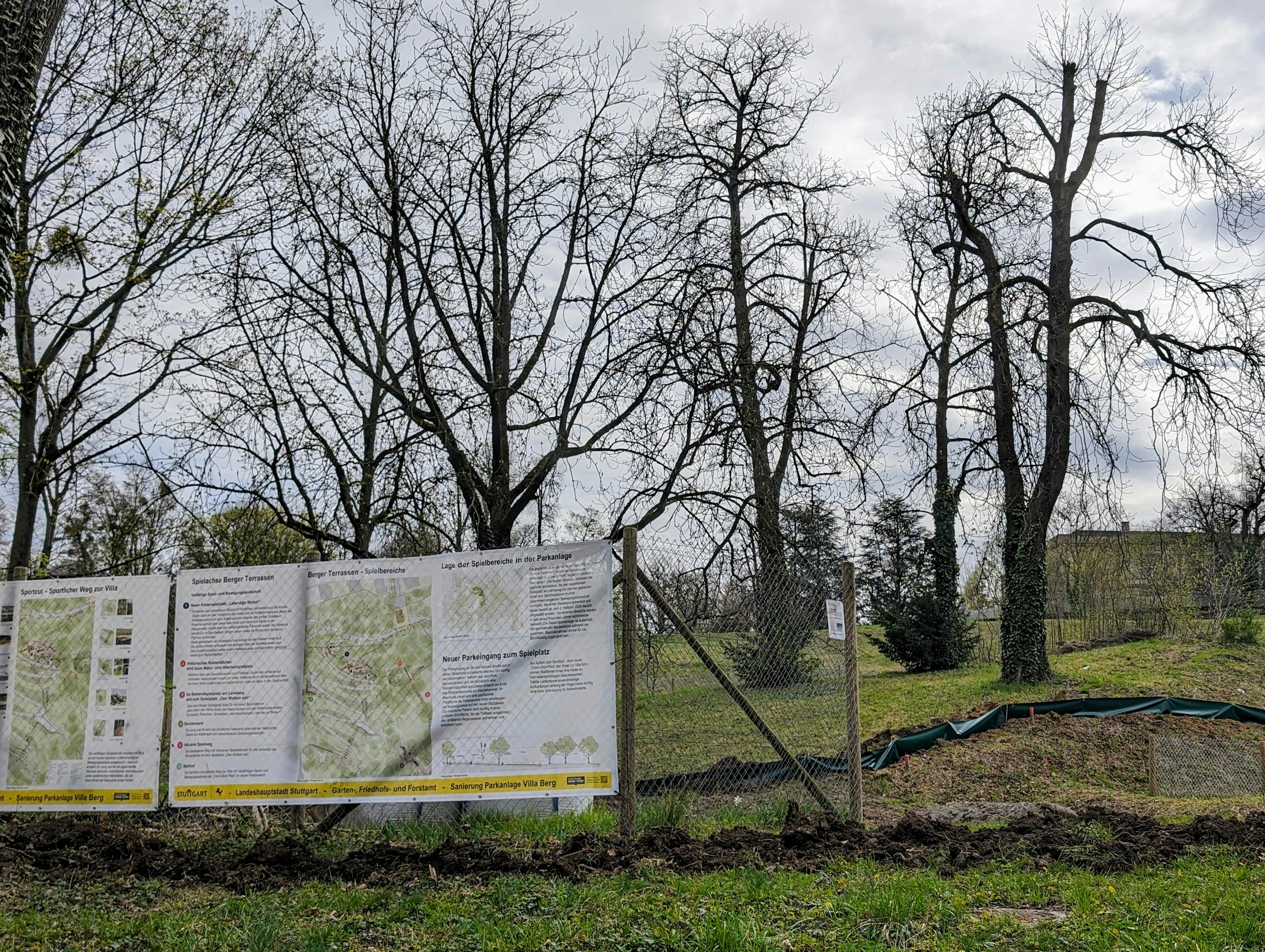 Die Amphibienwanderung hat begonnen - auch im Park der Villa Berg. Foto: Jürgen Brand
