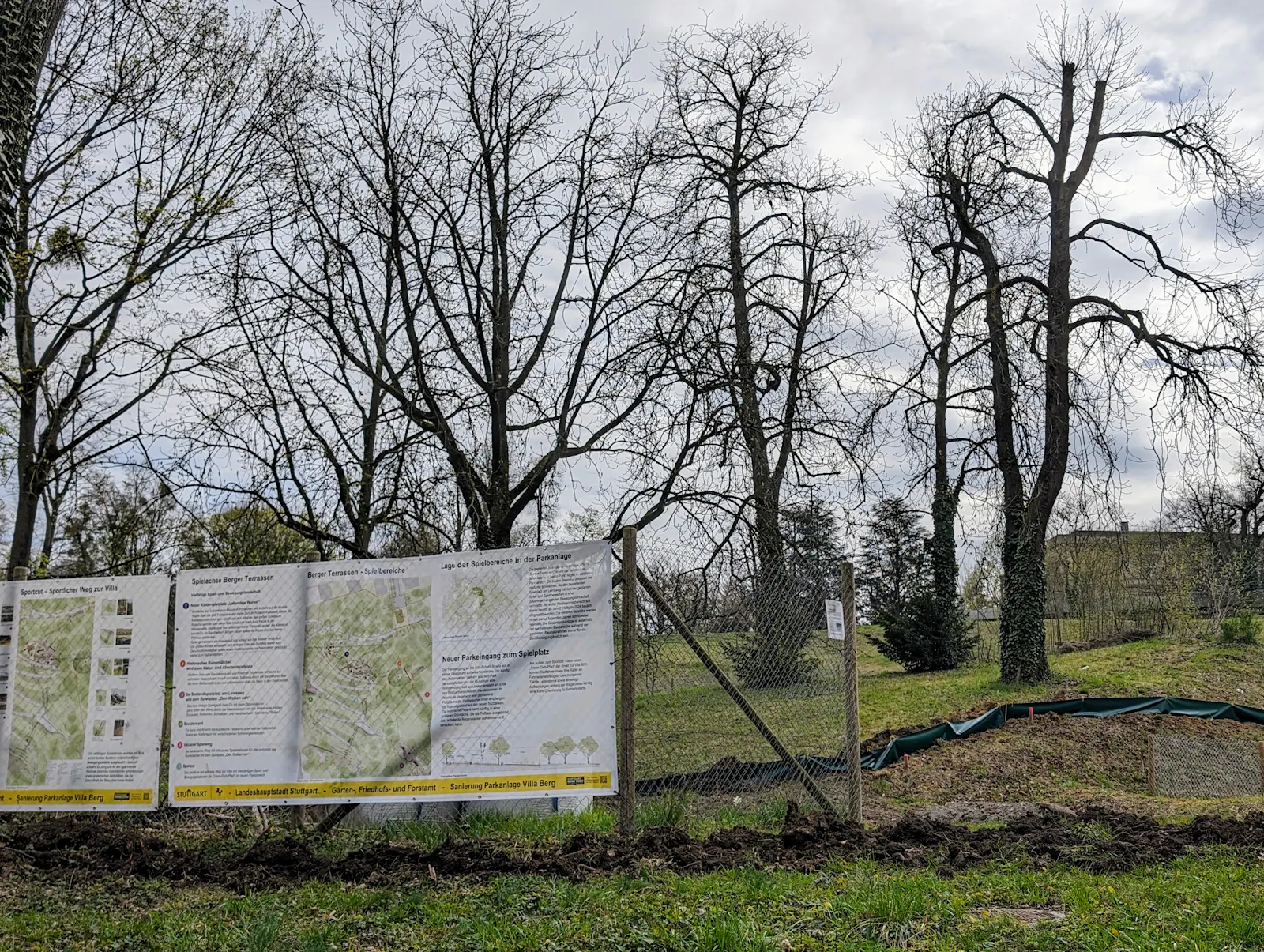 Die Amphibienwanderung hat begonnen - auch im Park der Villa Berg. Foto: Jürgen Brand