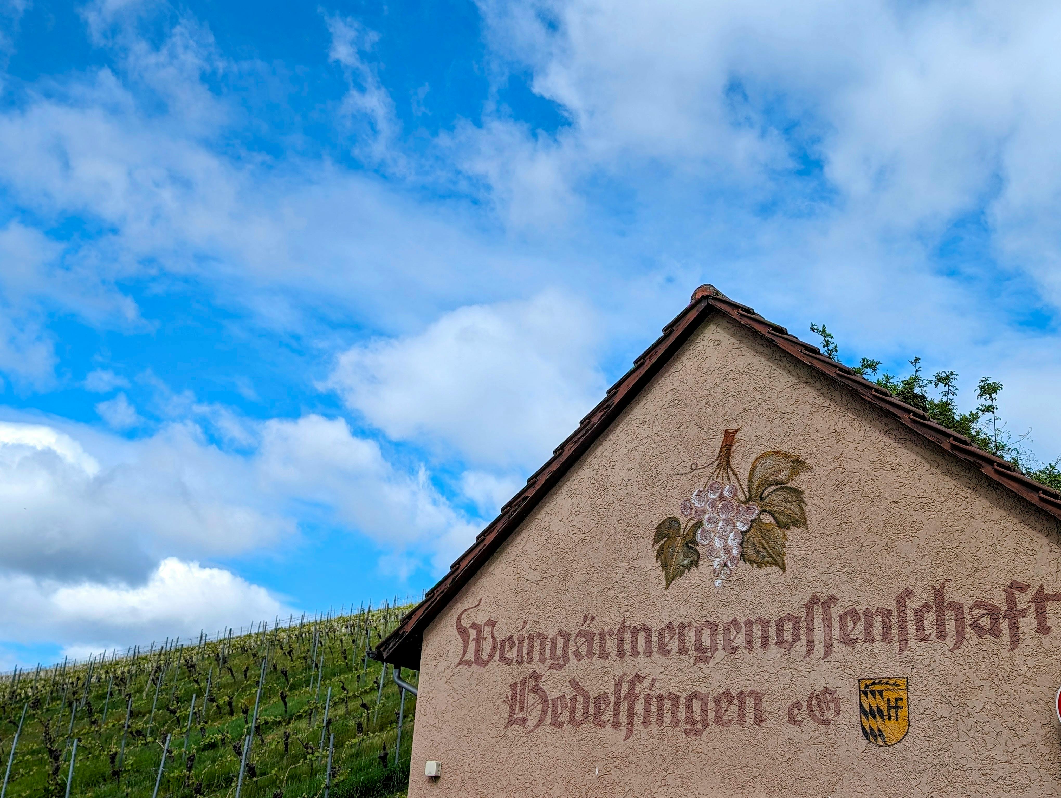 Hier wird die Weingärtnergenossenschaft Hedelfingen hoffentlich noch lange verewigt sein. Foto: Jürgen Brand