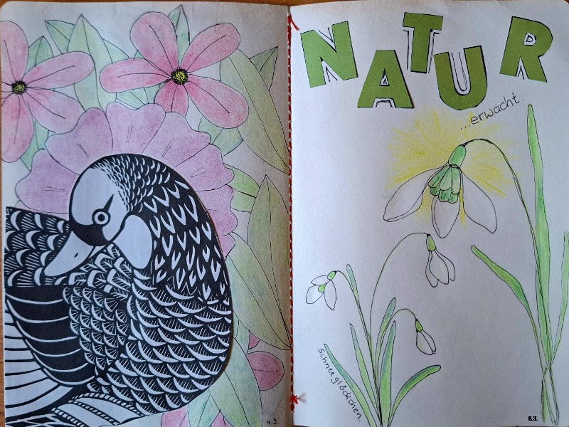 Ein Blick ins Sktechbook. Links ein Mix mit einer Gans in s schwarz-weiß (aus einer Zeitschrift), dahinter gezeichnete rosa Blumen und Blätter.
Rechte Seite: Schneeglöckchen, darüber ausgeschnittene Buchstaben "NATUR" und das Wort „erwacht“ geschrieben.