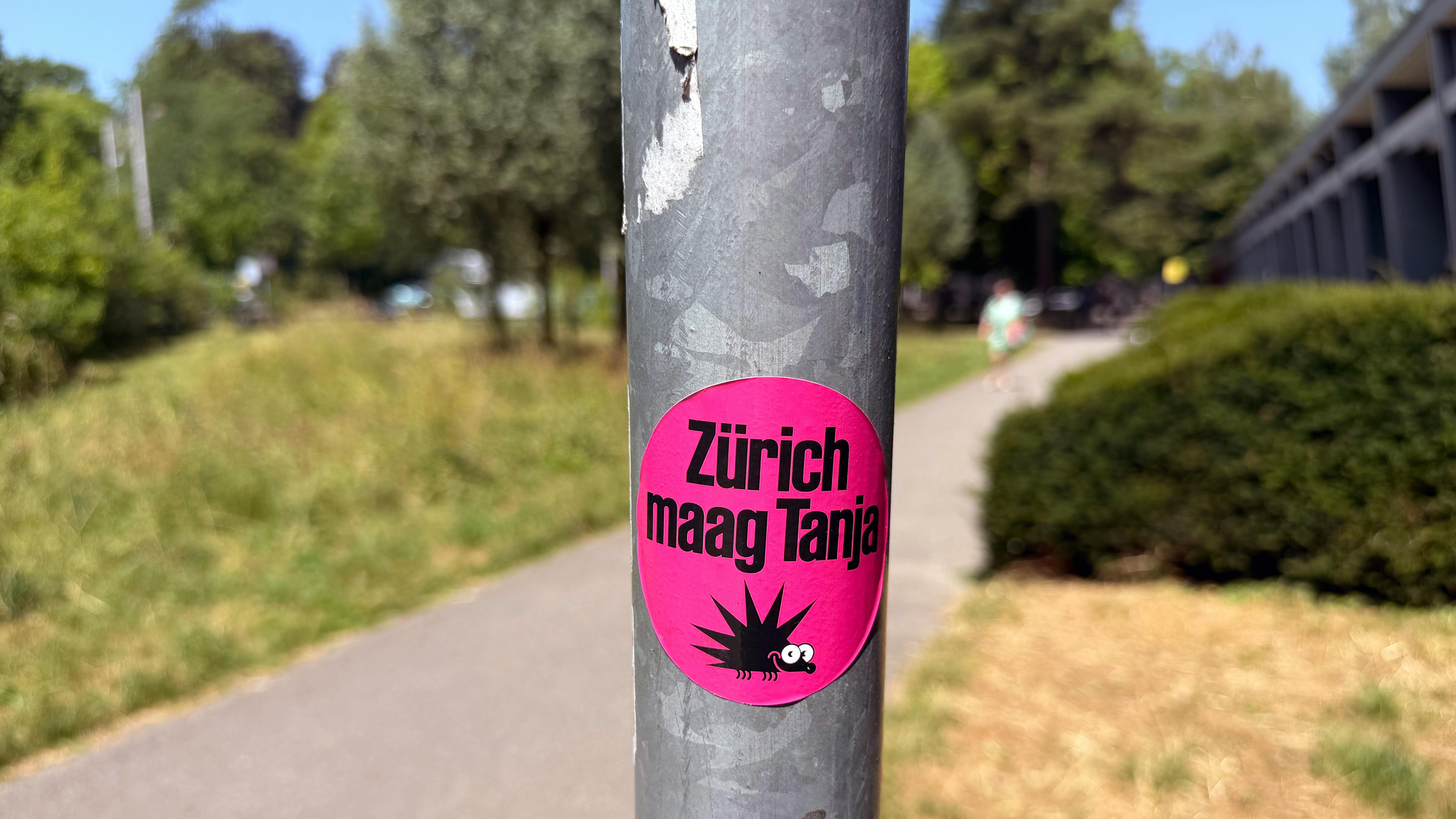 Pinkfarbener Aufkleber mit der Aufschrift „Zürich maag Tanja“ an einem Pfosten neben einem Fussweg.