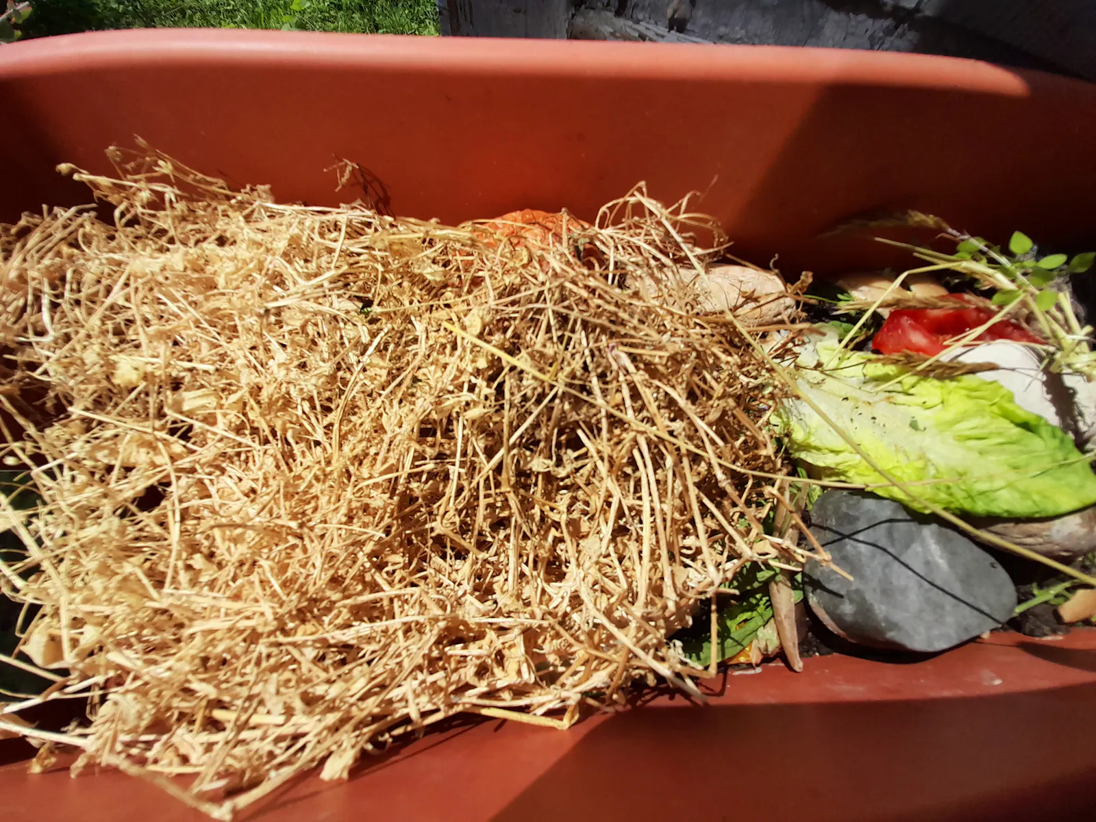 A brown flower box with soil, stones, compost and dried chickweed.