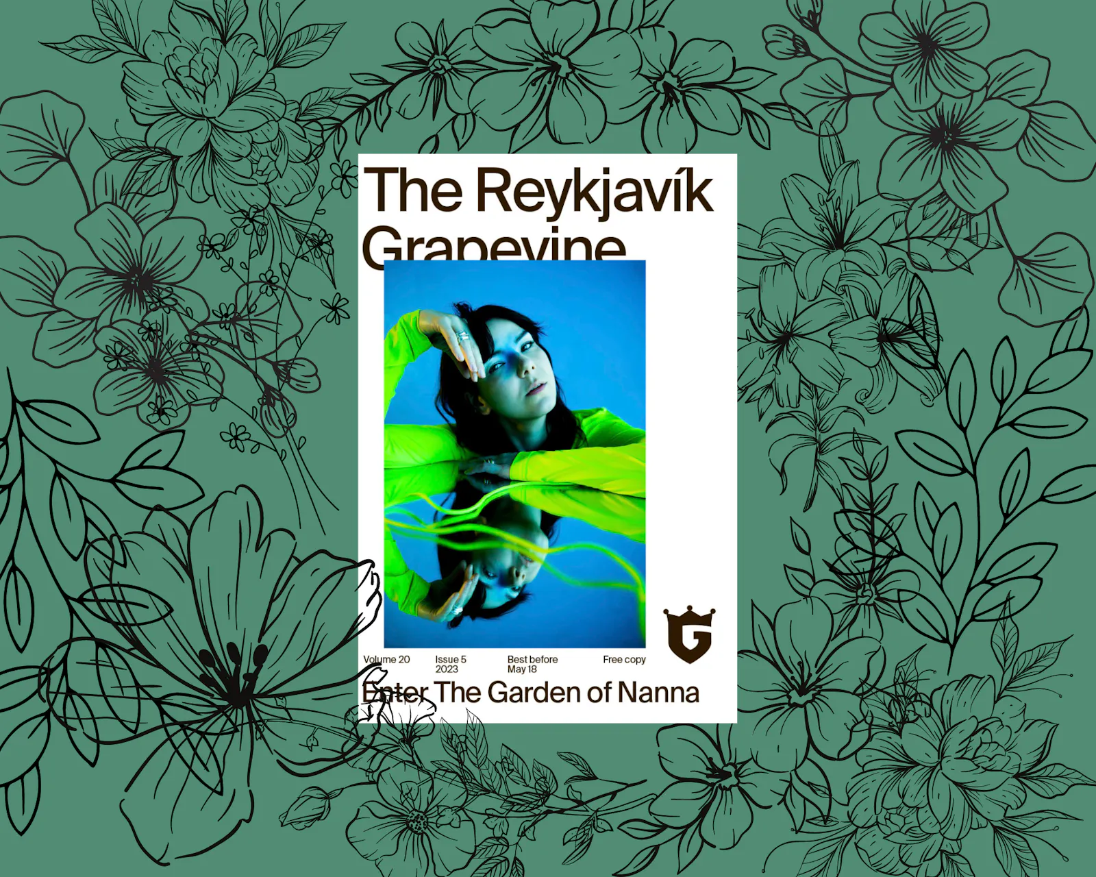 Cover of The Reykjavík Grapevine, Vol. 20, Issue 5