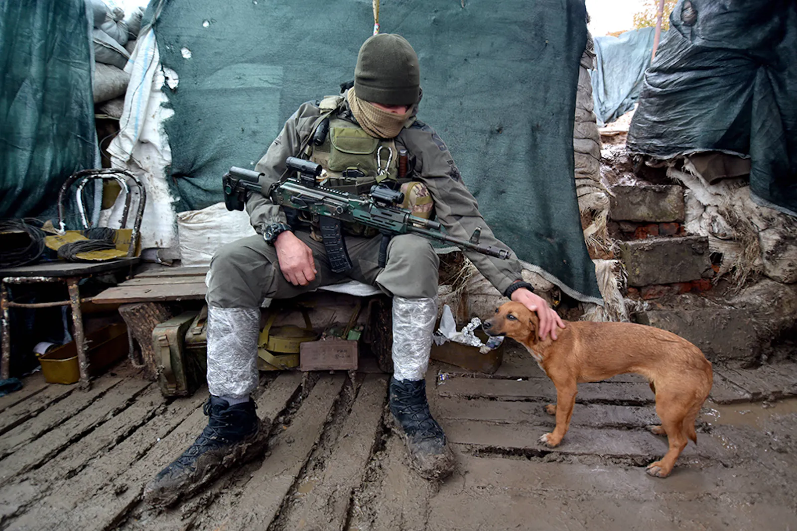 Ukrainischer Soldat in einer Stellung streichelt einen streunenden Hund