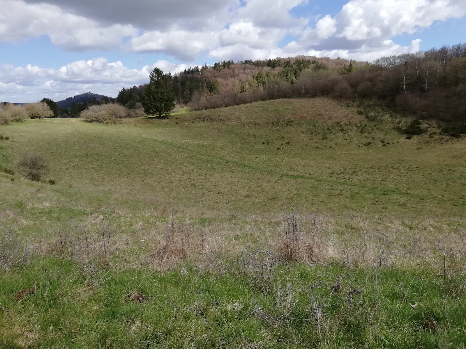 Vulkanlandschaft in der Eifel