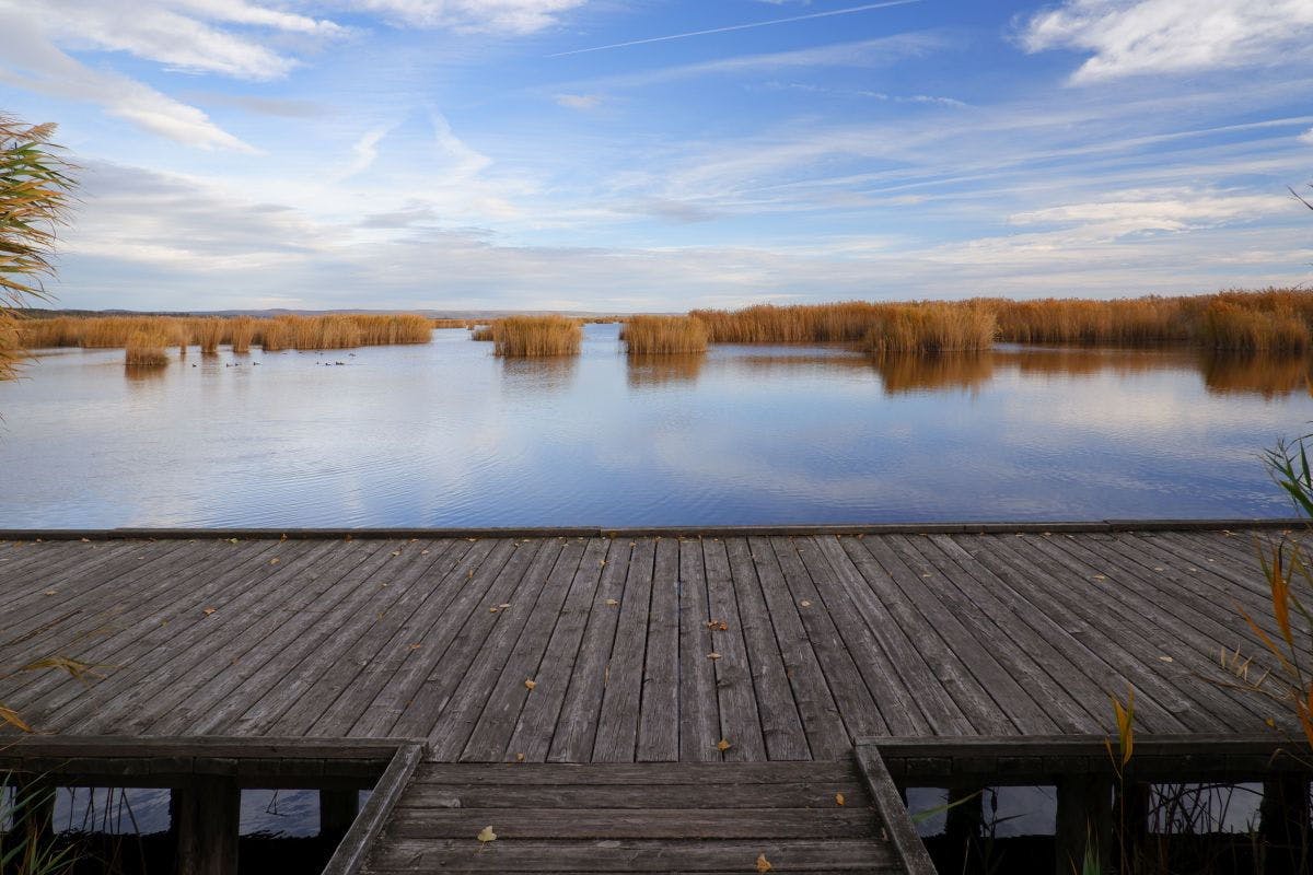 Neusiedler See