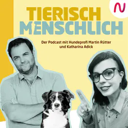Cover des Podcasts von Martin Rütter und Katharina Adick - tierisch menschlich.