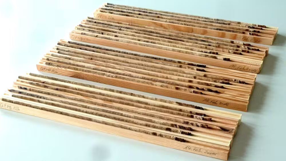 Holzproben auf hölzernen Bänkchen.